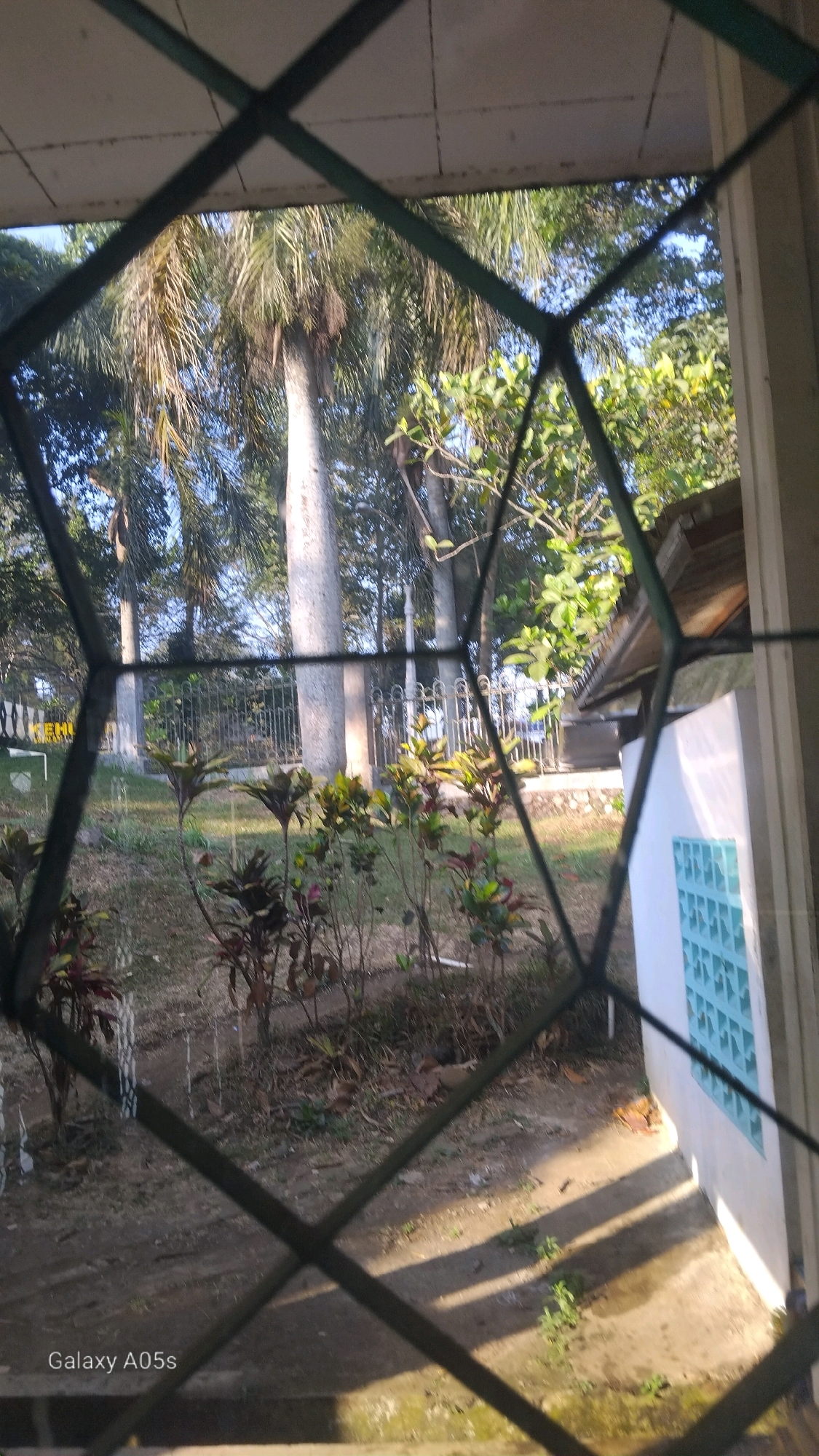 This is a slightly blurry, medium-shot, eye-level photograph taken through a diamond-patterned security grate. The scene appears to be outdoors, in a tropical or subtropical environment, possibly in Sumedang, Indonesia, given the presence of palm trees and lush vegetation.
In the foreground, the dark metal grate is prominent, obscuring parts of the scene and creating a hexagonal pattern. Behind the grate, a path of dry, cracked earth with scattered leaves is visible, leading to a concrete walkway bathed in dappled sunlight. Small patches of green grass and weeds are growing on the concrete. To the right, a white wall with a turquoise decorative block window is partially visible, suggesting a building. The wall has a light wooden-framed roofline extending from it.
Further back, a garden area with various plants is visible. Some of the plants have dark reddish-purple leaves, while others have green foliage. A metal fence with decorative posts runs horizontally across the middle ground. Beyond the fence, large palm trees with rough, textured trunks and feathery fronds dominate the background. Other trees with dense green foliage are also present, and the sky is a clear blue.
The lighting suggests it is daytime, likely late morning or early afternoon, due to the shadows cast on the ground. There are no people or animals visible in the image. The overall impression is one of a slightly overgrown, semi-tropical garden area viewed from within a building or through a window.