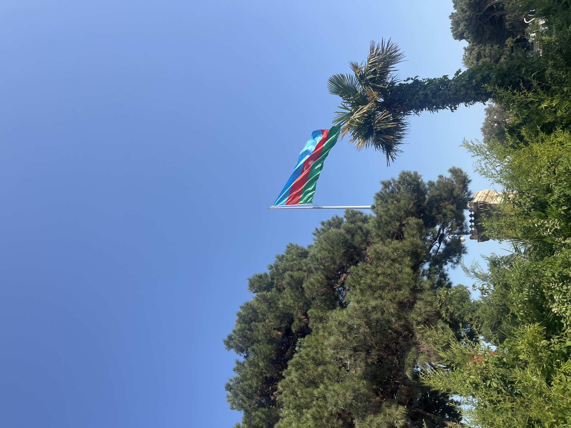 The image shows the Flag of Azerbaijan flying on a flagpole against a clear blue sky. The flag is a tricolor of blue, red, and green stripes, with a white crescent moon and an eight-pointed star in the center of the red stripe. To the left of the flag is a large pine tree, and to the right is a palm tree covered in green vines. In the background, there are more trees and what appears to be a small tower or building with ornate stonework. The scene is illuminated by bright sunlight, casting shadows from the trees. The image was taken outdoors in Baku, Azerbaijan, as evidenced by the flag and the type of vegetation.