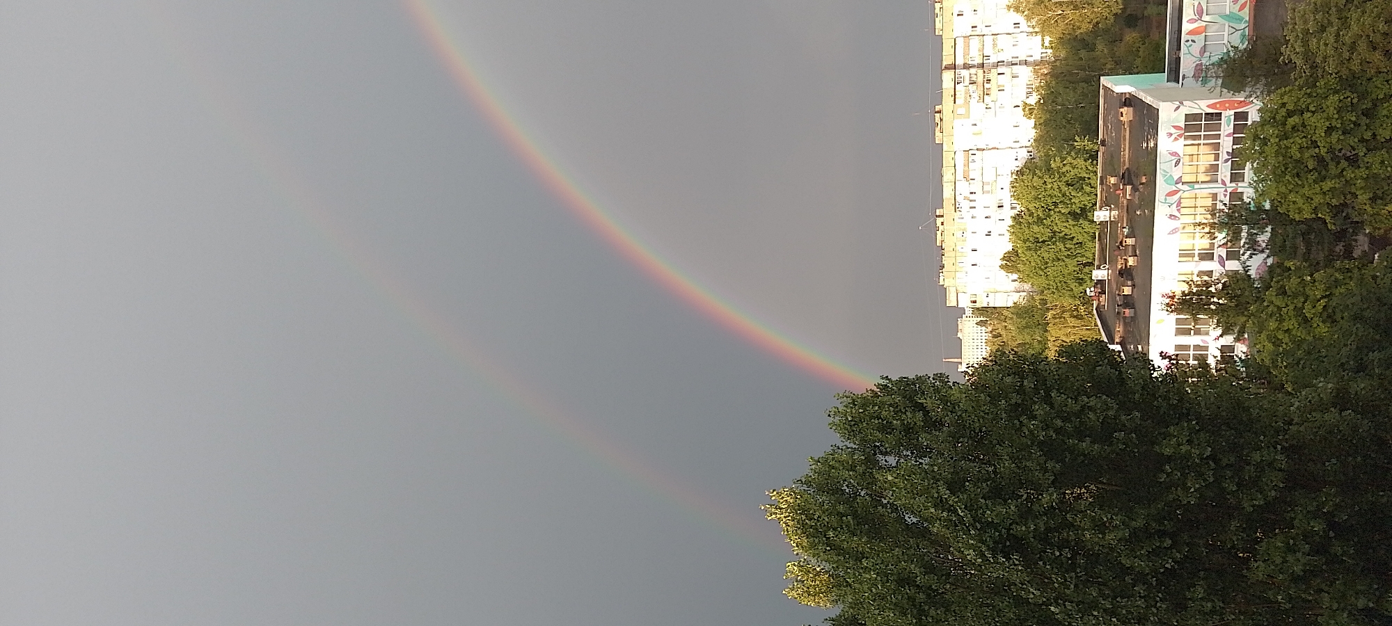 This is a vertical, eye-level, medium shot photograph taken from an elevated position, likely a building. The image captures a dramatic sky with a double rainbow against a dark, overcast backdrop. The primary rainbow is a vibrant arc of colors, while a fainter secondary rainbow is visible above it. In the foreground, to the left, is a large, leafy green tree. Below the rainbows and the tree, a cityscape is visible. The middle ground features several multi-story buildings, some appearing to be apartment blocks with many windows. One building in the lower right foreground has a white facade with colorful, stylized floral and botanical murals. The background shows more buildings and lush green trees, suggesting a residential or mixed-use urban environment. The lighting indicates it is likely late afternoon or early evening, possibly after a rain shower. The scene is located in the city of Cherkasy, Ukraine. There are no people visible in the image.