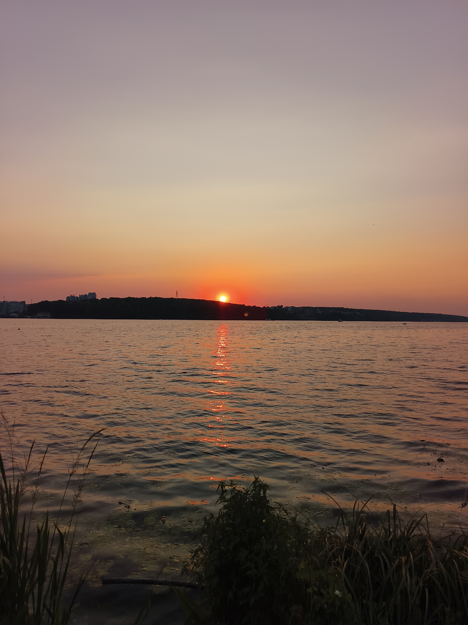 The image captures a sunset over a body of water, likely Ternopil Lake, in Ternopil, Ukraine. The sun, a bright orange orb, is partially submerged behind a tree-covered hill that stretches across the horizon. The sky transitions from a pale lavender at the top to a warm orange hue near the horizon. The surface of the water reflects the vibrant colors of the sunset, creating shimmering streaks of orange and red. In the foreground, tall grass and reeds line the water's edge, with some darker vegetation on the right. On the distant hill, buildings and a cell tower are visible, indicating the presence of urban development. The overall scene is tranquil and serene, bathed in the soft light of the setting sun.