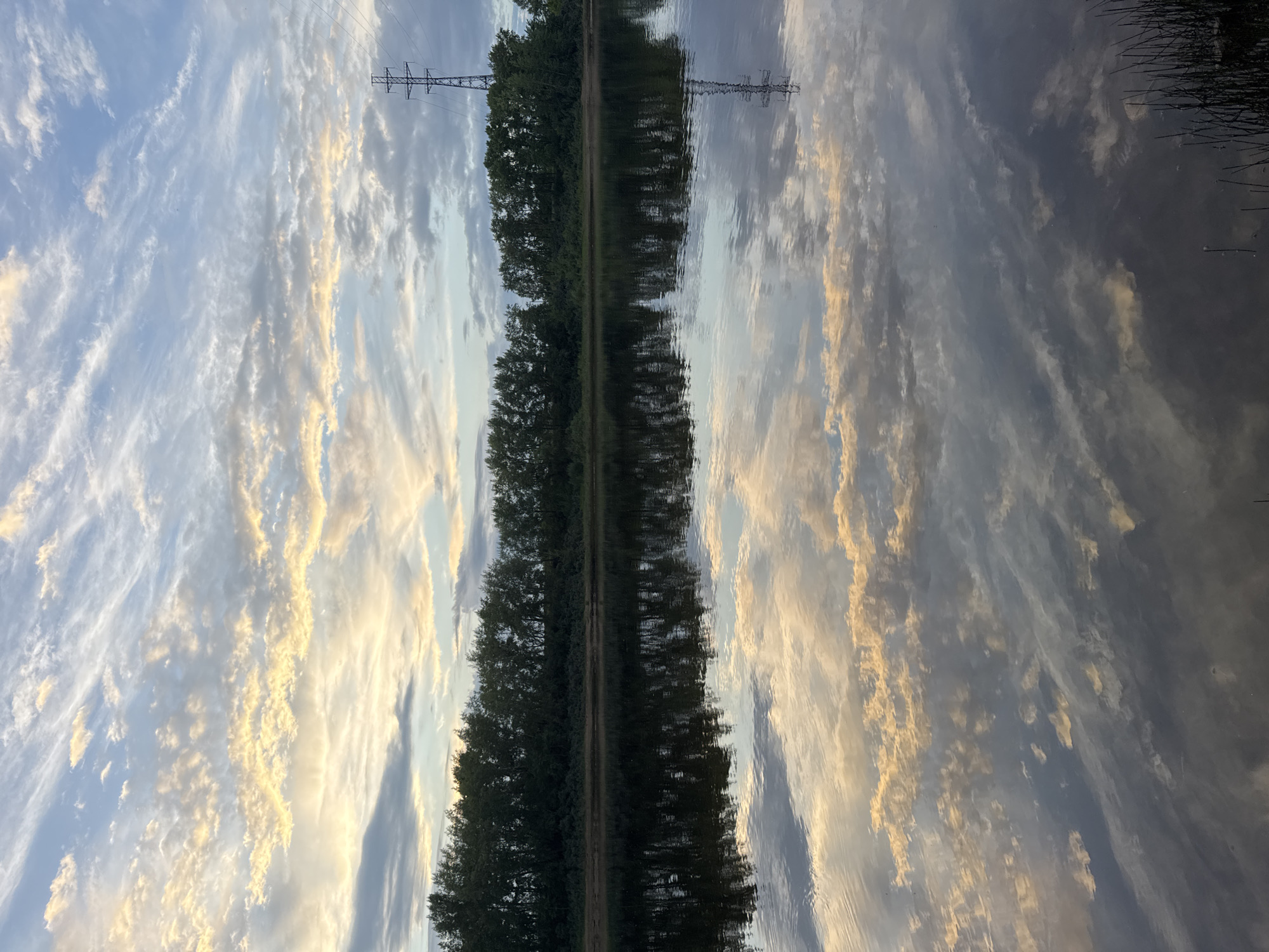 This is a vertical, mirrored photograph of a serene natural landscape. The image depicts a body of water, likely a river or lake, reflecting a sky filled with wispy, golden-tinged clouds against a pale blue backdrop. The reflection in the water is sharp and clear, mirroring the sky and the dense line of trees that borders the opposite bank. The trees are tall and dark green, suggesting a temperate forest. A prominent power line tower, with its intricate lattice structure, is visible on the far bank, its reflection also clearly visible in the water. The lighting suggests it is either sunrise or sunset, with the warm hues of the clouds indicating the low angle of the sun. There are no people or animals visible in the frame, contributing to a sense of peaceful isolation. The overall mood is calm and tranquil. The location is identified as Chaikovsky, Russia.