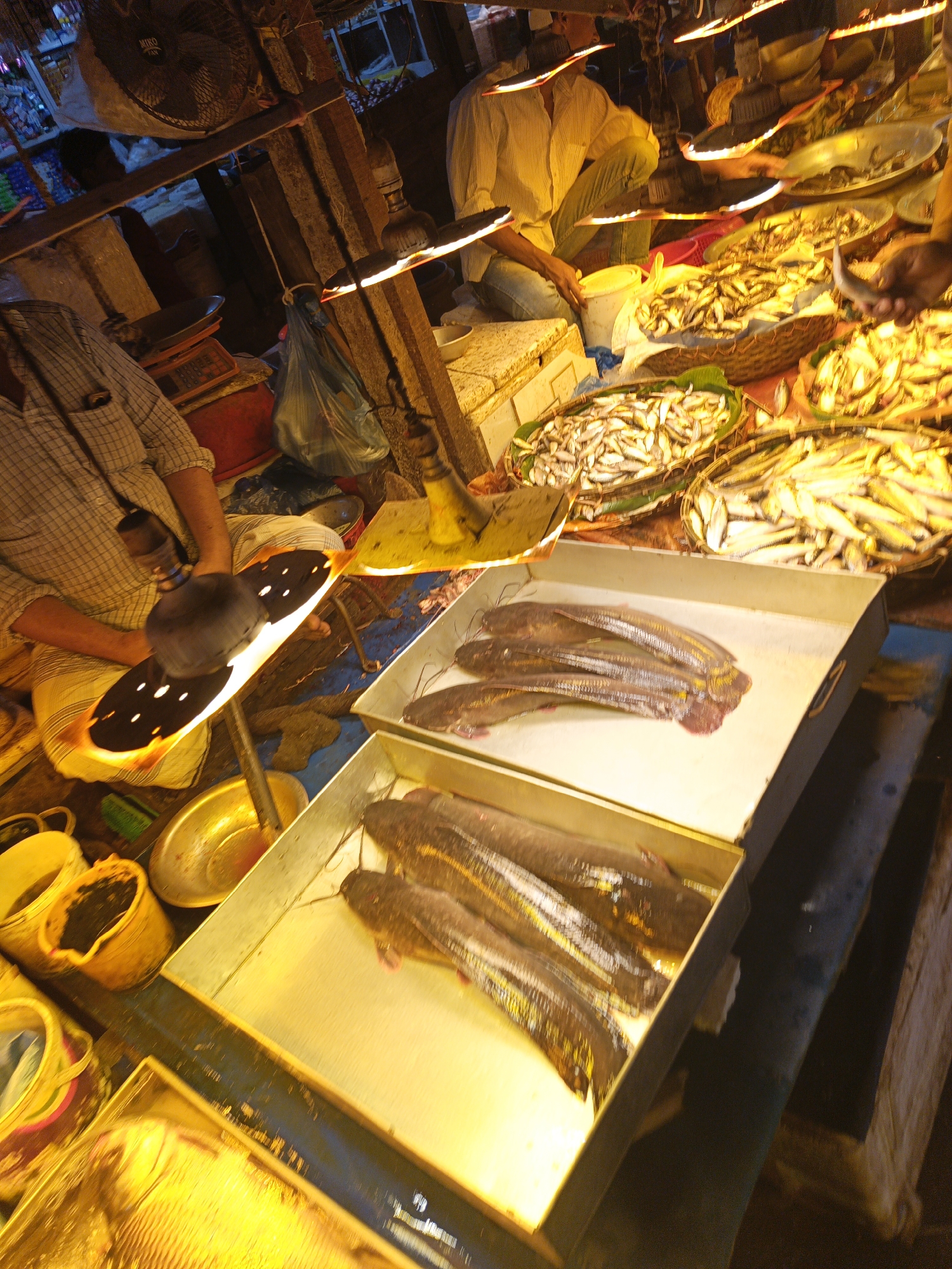 The image depicts a fish market scene in Dhaka, Bangladesh. Several vendors are present, likely selling their catch. A variety of fish are displayed in trays and baskets, including what appears to be catfish and smaller silver fish. Artificial lighting is in use, illuminating the fish. There are other objects such as plastic buckets and weighing scales. The scene indicates a bustling marketplace.