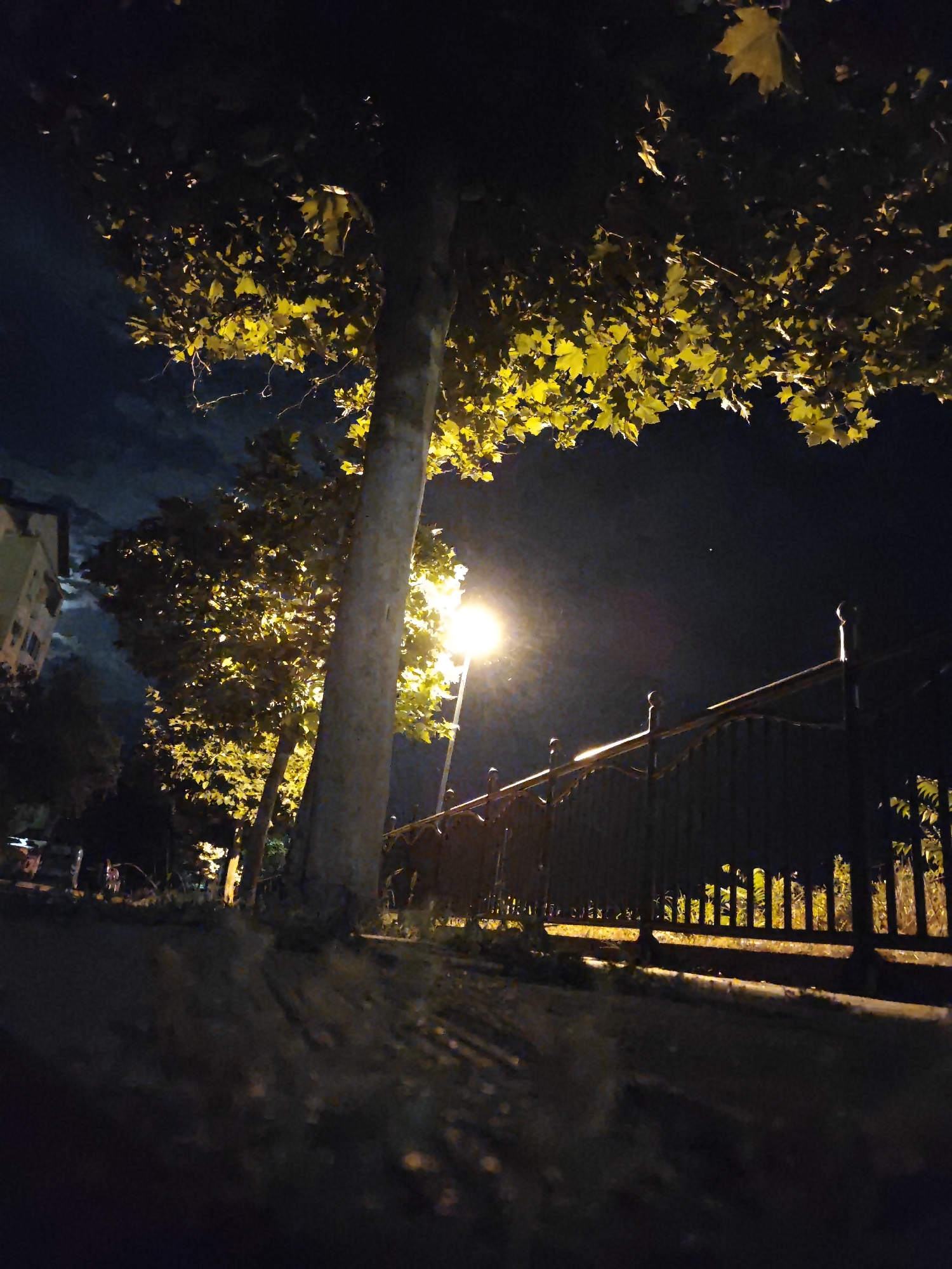 A low-angle, night-time photograph depicts a tree in the foreground casting long shadows across a dark, uneven surface. The tree's trunk is thick and textured, with illuminated leaves creating a vibrant canopy against the dark sky. A streetlamp to the right emits a bright glow, illuminating a decorative metal fence that runs horizontally across the midground. Beyond the fence, more trees with lit leaves are visible, along with the side of a building on the left, featuring illuminated windows. The overall scene suggests a park or residential area at night, with artificial lighting highlighting natural elements and urban infrastructure.