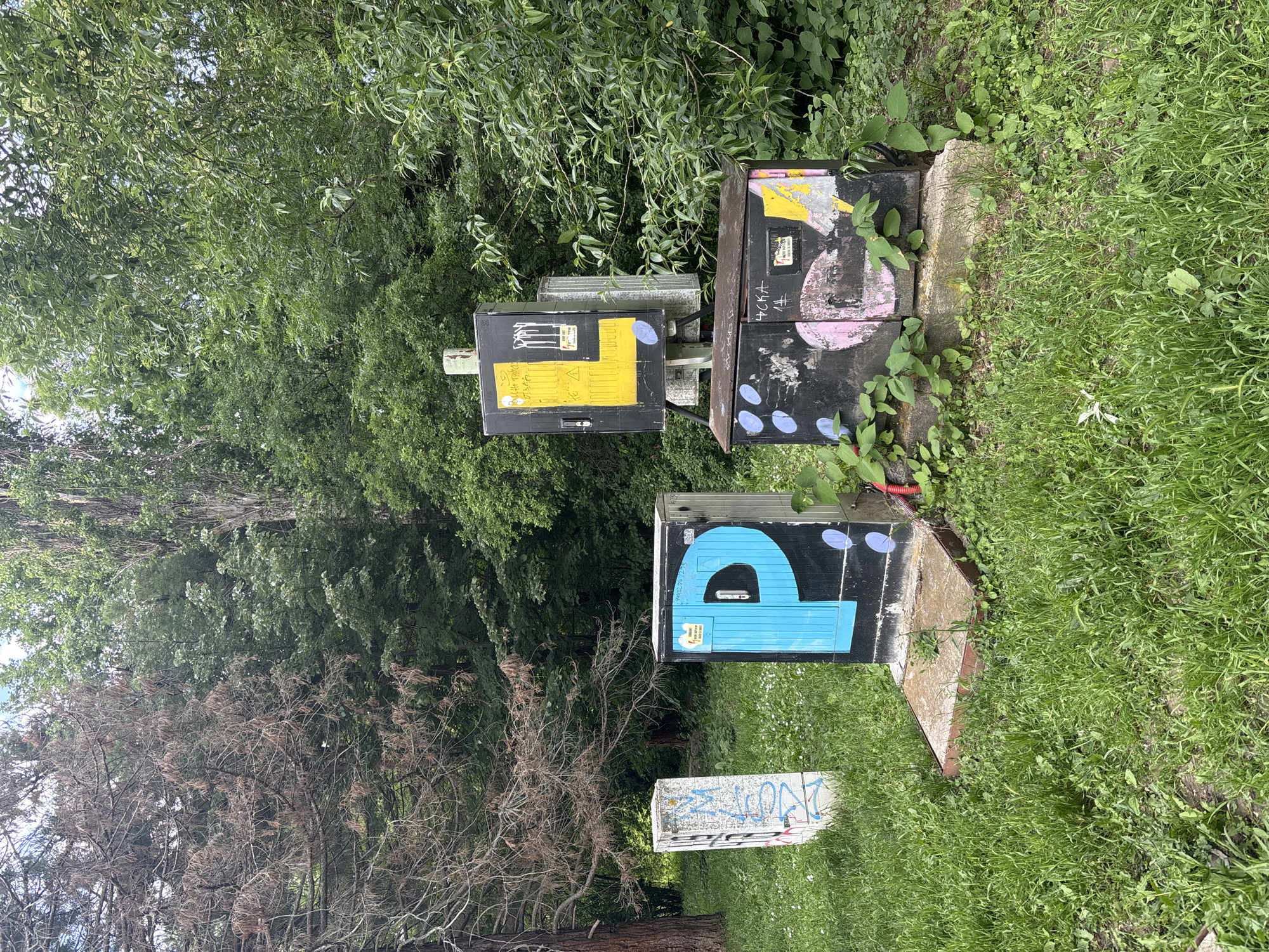 The image captures an outdoor scene dominated by several graffitied utility boxes amidst lush greenery, likely in Sofia, Bulgaria. The time of day appears to be bright daylight, with no strong shadows suggesting a clear or partly cloudy sky.
In the mid-ground, two large, black rectangular utility boxes are mounted on a grey pole-like structure. The left box features a prominent yellow painted section with black lines, possibly indicating a hazard, and has some white spray paint including partial letters like "DANG". The right box on this structure is also black, adorned with pink and white spray paint, including a large pink "C" or "G" shape and a tag that appears to read "4CKA". Various stickers and blue circular marks are also visible on these boxes.
To the lower-right, a third large black utility box sits closer to the foreground, also heavily decorated with graffiti. Its most notable feature is a large, light blue letter "P" painted on its side. Below this "P" is a red and white sticker that reads "NO PARKING" and "RESERVED". Like the others, it has blue circular marks. Further to the left and slightly in front of this box, a smaller, white rectangular box rests on the grass, covered in blue spray-painted tags.
The ground around the boxes is covered with vibrant green grass and some smaller weeds. The boxes themselves are set on concrete or stone bases. In the background, dense, leafy green trees and bushes create a natural backdrop. To the far left, a section of trees appears to be dead or dormant, with bare, brown branches contrasting with the surrounding healthy foliage.
No people or activities are visible in the scene, which focuses on the interplay of urban infrastructure and natural overgrowth.