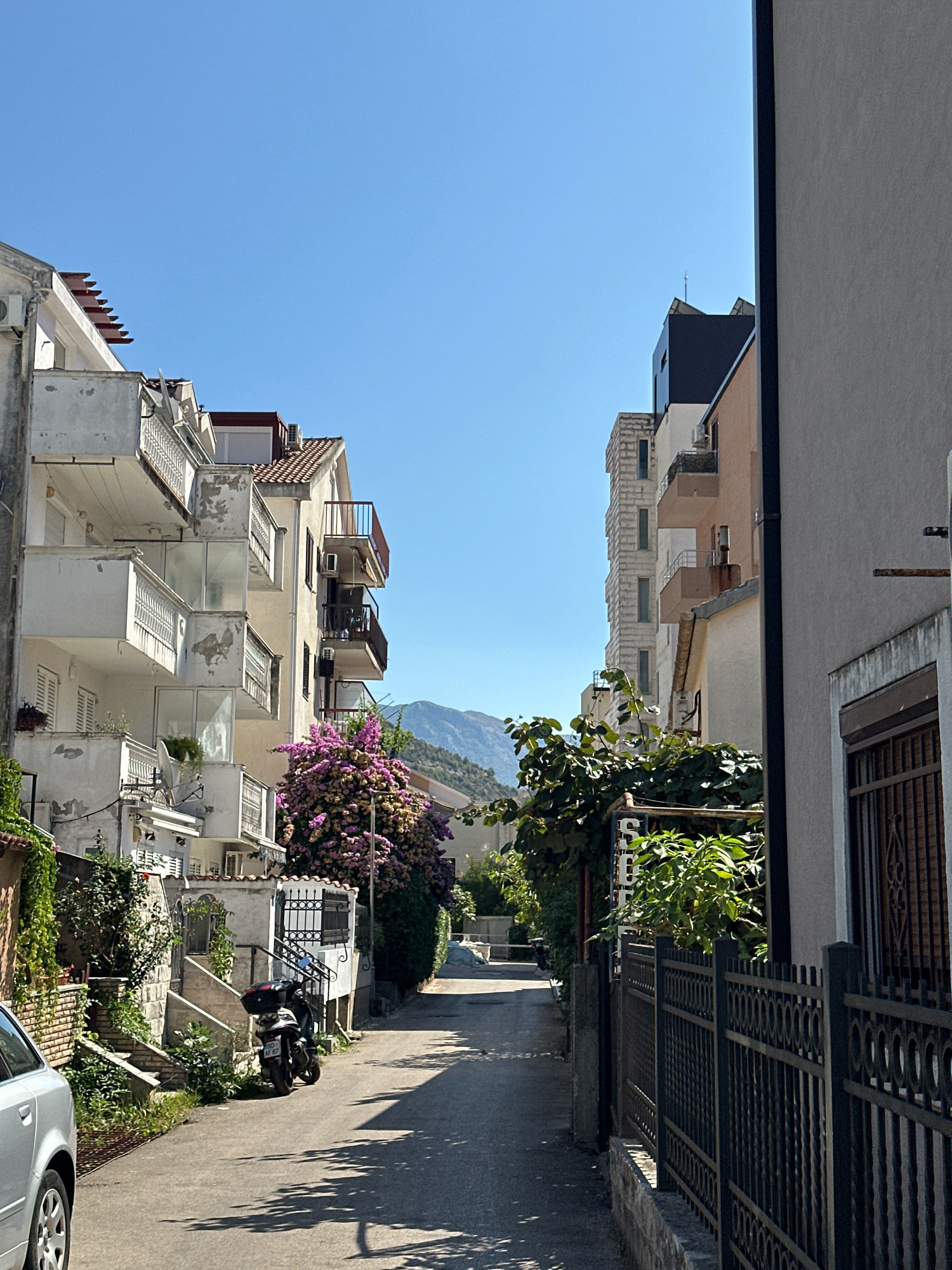 The image depicts a narrow street in Budva, Montenegro, on a clear day. The street is flanked by buildings of varying architectural styles. On the left, a multi-story apartment building with numerous balconies, some with railings and glass, shows signs of wear and peeling paint. Greenery climbs the walls and is visible on balconies. On the right, a taller building with a dark facade and a modern design is visible further down the street, along with other apartment buildings. A large bush with purple flowers is prominent in the mid-ground on the left side of the street. A black and white scooter with a red top case is parked on the side of the road. A silver car is partially visible on the left edge of the frame. The street is paved and casts shadows from unseen trees. In the background, a mountain range is visible against a bright blue sky. The scene appears to be residential, with elements suggesting a Mediterranean climate.