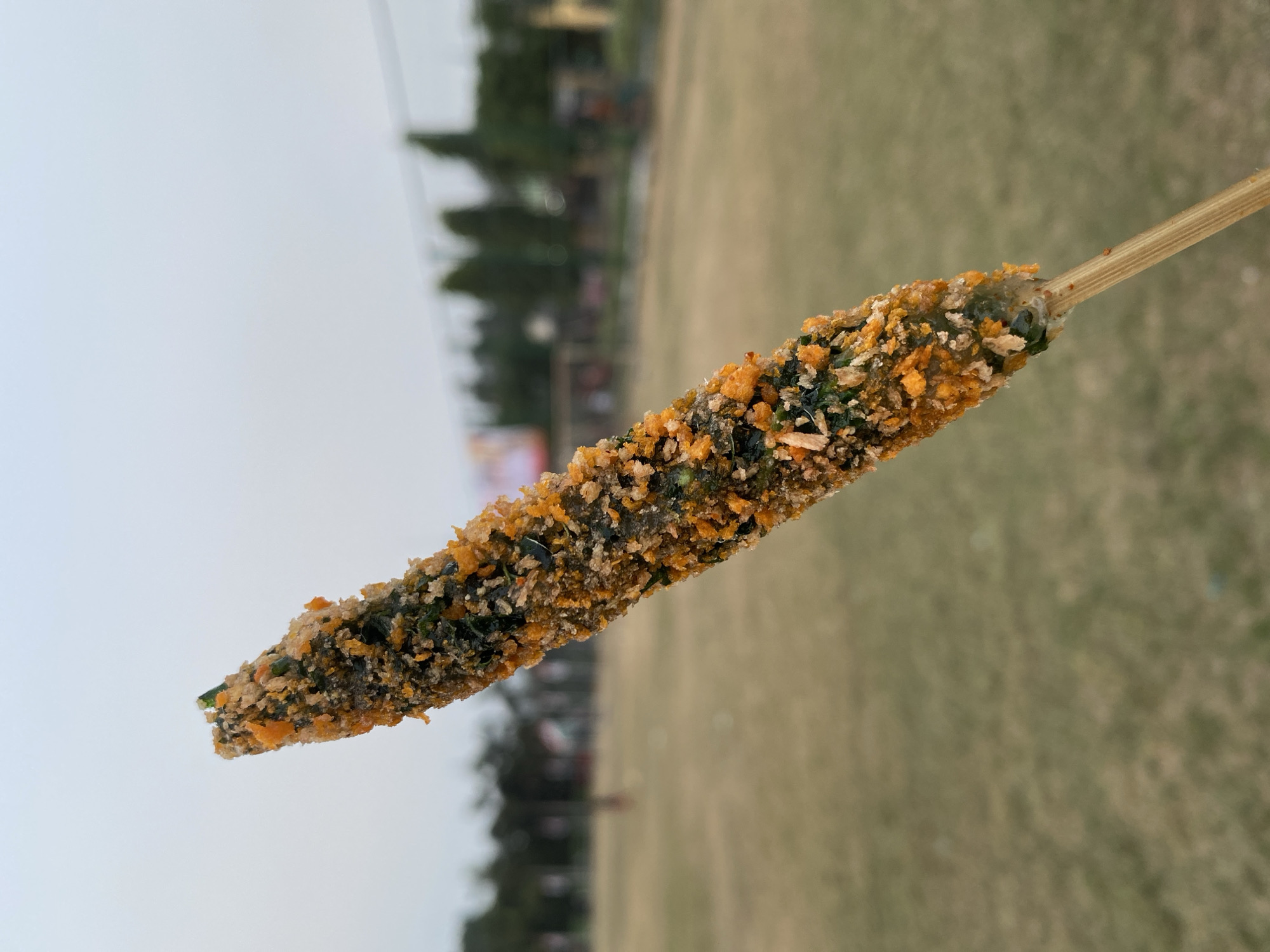 A close-up, slightly angled shot features a food item on a skewer, held in the foreground. The food is elongated and coated in a textured breading, appearing to contain green specks, possibly herbs or vegetables, mixed with orange, granular crumbs. The skewer itself is a light brown wooden stick.
In the background, out of focus, is an open grassy field. Beyond the field, a line of trees forms a distant, blurred backdrop. Faintly visible structures, possibly buildings or a billboard, can be discerned behind the trees. The sky above is overcast and pale, suggesting either early morning or late afternoon. The overall impression is of an outdoor setting, possibly a park or a recreational area, in the vicinity of Kasihan, Indonesia. No individuals are clearly discernible in the image.