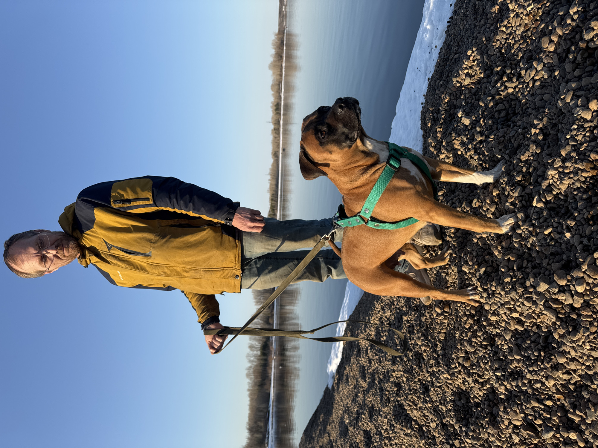 An eye-level, full shot shows a man with a brown Boxer dog on a shore of small rocks and snow, with a lake and horizon in the background.
The man is on the left side of the photo and is standing on the rocky shore facing the viewer. He has fair skin, gray hair, and glasses. He is wearing a light brown jacket with dark blue shoulders, blue jeans, and dark shoes. The man is holding the dog's leash.
The dog is a brown Boxer with a black muzzle and white markings on its paws and chest. It is wearing a green harness. The dog is standing on the rocky shore next to the man, looking upward and toward the water.
In the background is a calm body of water and, further back, a land horizon is seen. The water reflects the blue sky. The ground is covered in small rocks and some areas of snow on the water's edge. The picture looks to be taken in the daytime as the sun is shining and the image is well-lit.
Based on the information provided, it is not possible to verify the location of the city of Chaikovsky, Russia. The image depicts a man and dog standing by a lakeside. More precise details or landmarks would be required for confirmation.