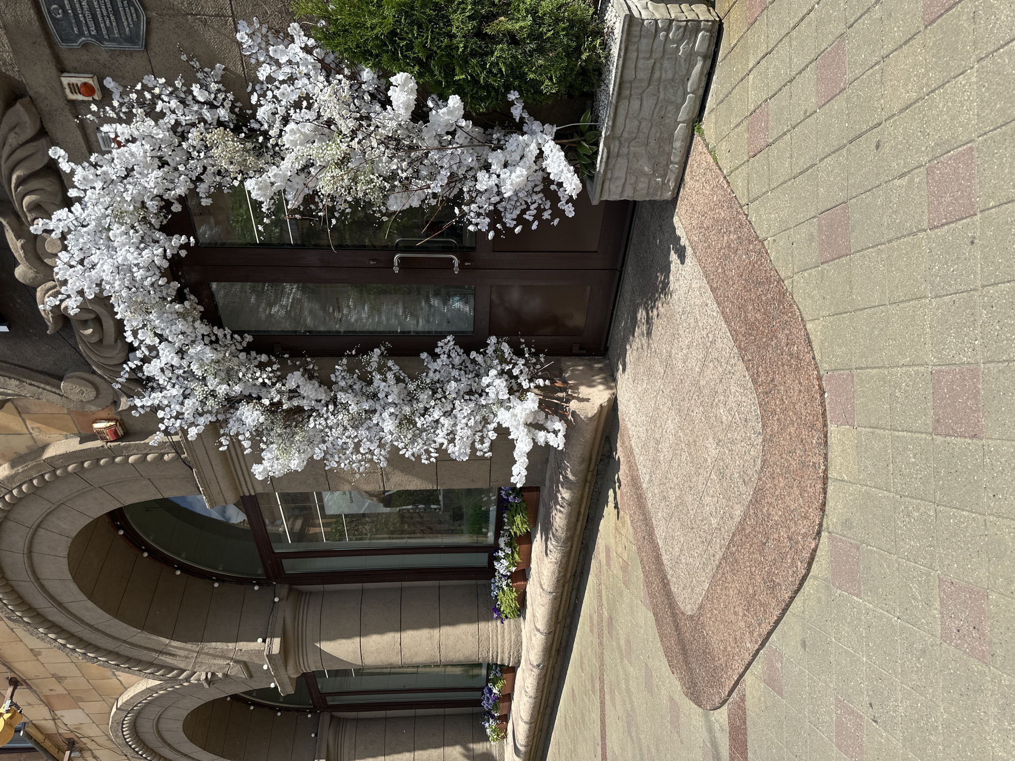 This is a medium-shot, eye-level outdoor photograph of the entrance to a building with a light brown, textured stone facade. The entrance features a large, double glass door with a metallic handle, partially obscured by a dense, artificial white floral arch that frames the top of the door. To the right of the door is a tall, conical green evergreen tree in a rectangular grey stone planter.
In front of the building, there are several arched windows with dark frames. Along the base of these windows, a stone ledge supports a row of small wooden planters filled with purple and white flowers. The walkway leading to the entrance is paved with light grey square tiles with occasional reddish-pink square inlays. A curved border of reddish-brown granite delineates a section of the walkway directly in front of the entrance.
The building's architectural style includes prominent arched openings supported by thick, cylindrical columns. The facade is adorned with decorative stone carvings above the arches. The upper part of the image shows a portion of the building's roofline, which is also made of textured stone. A small, rectangular metal sign is visible on the right side of the facade, above the floral arch. The sky is clear and bright blue.
This scene is located at the entrance of the National Art Museum of the Republic of Belarus in Minsk, Belarus.