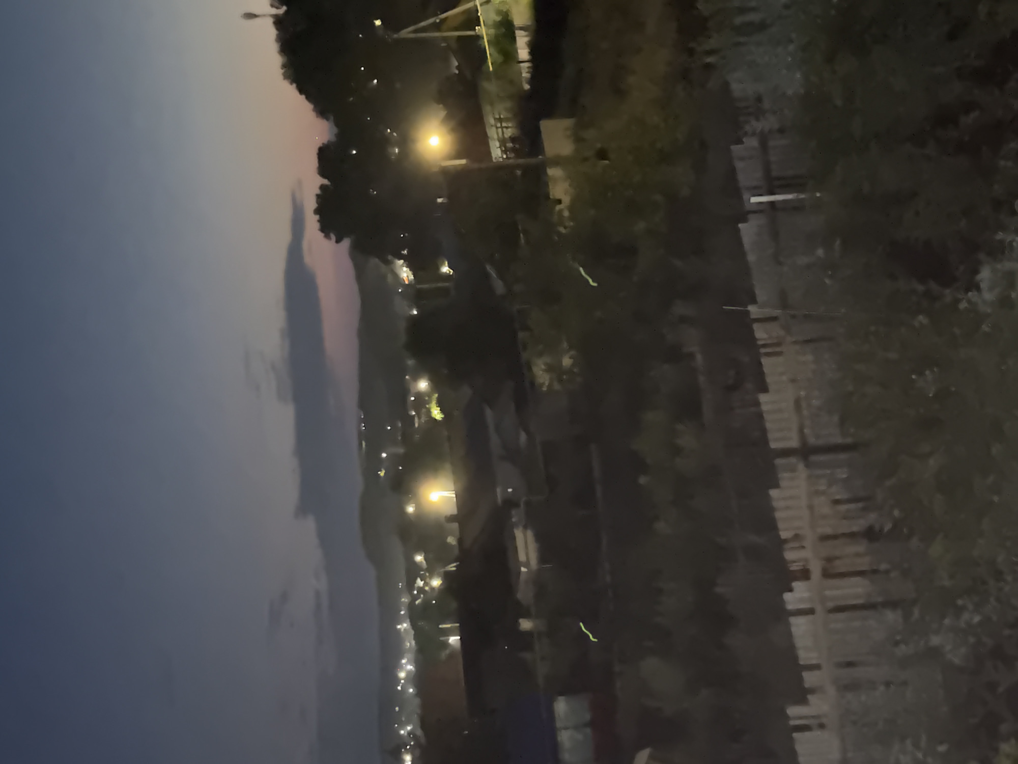 An outdoor, nighttime, low-light scene depicts a residential area, possibly in Mednogorsk, Russia, as suggested by the provided context, featuring a twilight sky with scattered clouds. The foreground is dominated by a weathered wooden fence and dense vegetation. In the midground, several houses with visible roofs and some illuminated windows are nestled amongst trees. Streetlights illuminate parts of the scene, casting a warm glow. In the background, a distant town or village is visible with numerous lights twinkling against the darkening landscape and hills. Two faint, horizontal green streaks are present in the midground, possibly indicating light trails or atmospheric phenomena. The overall impression is one of a quiet, rural or suburban settlement at dusk.