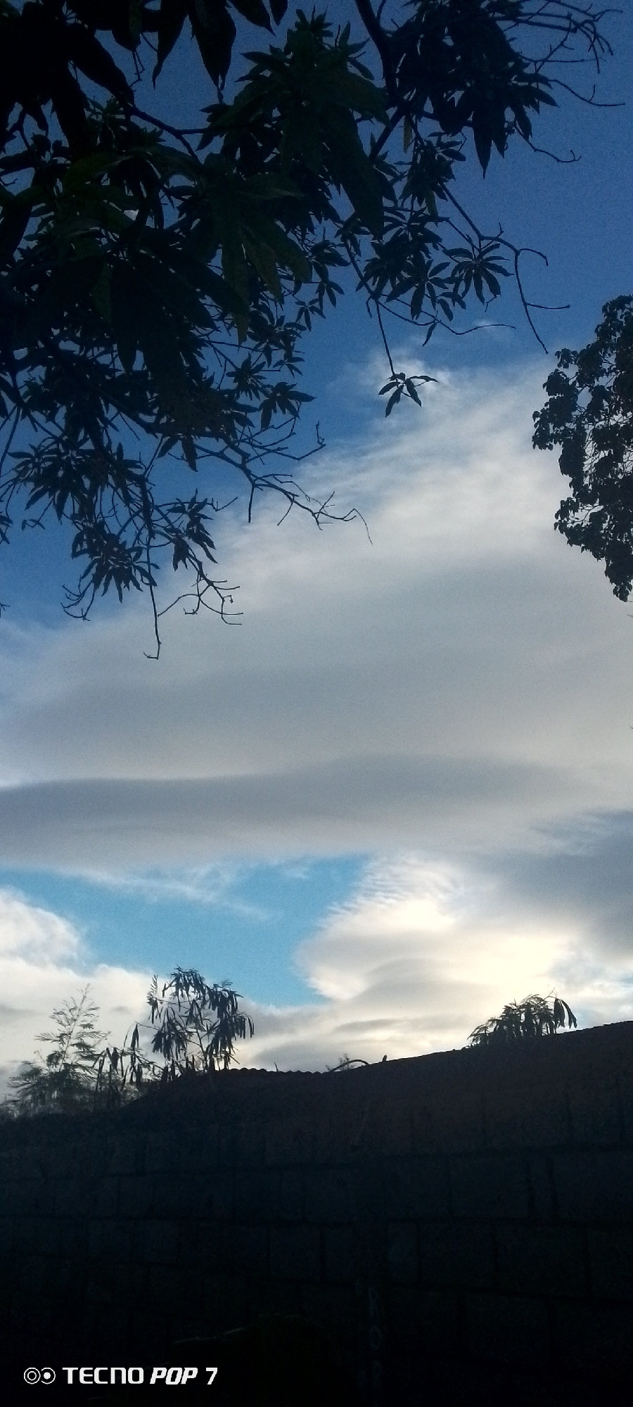 A low-angle, vertical shot depicts a dusky sky with silhouetted tree branches in the foreground and mid-ground. The sky is a deep blue with wispy white clouds, particularly a prominent, elongated cloud formation stretching horizontally across the middle of the frame. The lower portion of the image is dominated by a dark, silhouetted wall or roofline, also with silhouetted trees and foliage rising above it. The bottom left corner of the image displays the text "TECNO POP 7" within a circular icon. The scene suggests an outdoor environment in Altagracia, Venezuela, likely during twilight or just after sunset, with no people or specific actions visible.