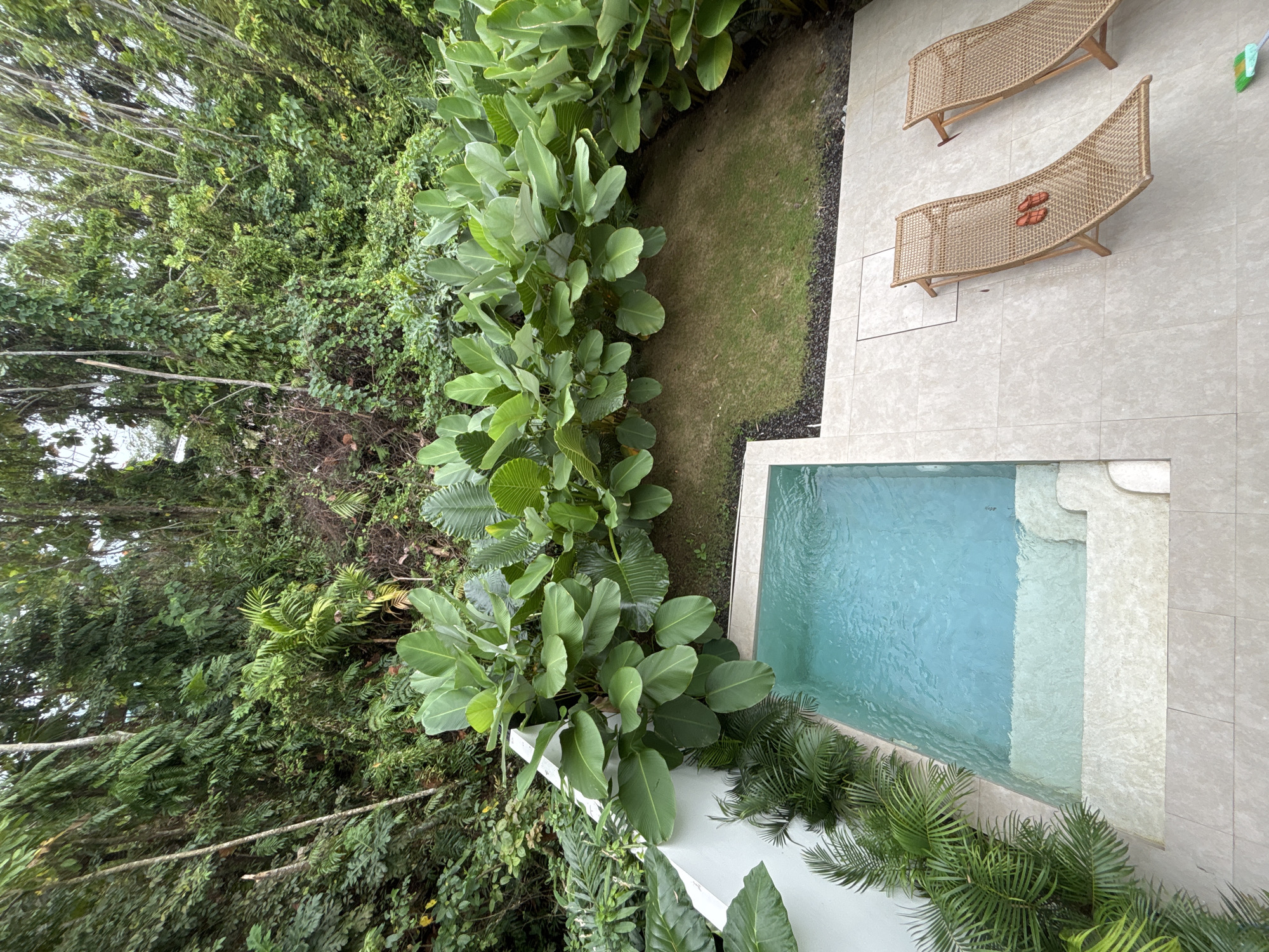 This overhead shot captures an outdoor scene in Ubud District, Indonesia, featuring a small, rectangular swimming pool adjacent to a paved patio. The pool, filled with clear turquoise water, has built-in steps made of light-colored stone. Two wicker lounge chairs are positioned on the patio, one with a pair of red flip-flops on it. Lush, dense green foliage surrounds the area, with large-leafed plants forming a backdrop along the edge of a grassy patch. Beyond the plants, a dense jungle rises up a slope. The overall impression is one of a serene, tropical retreat.
