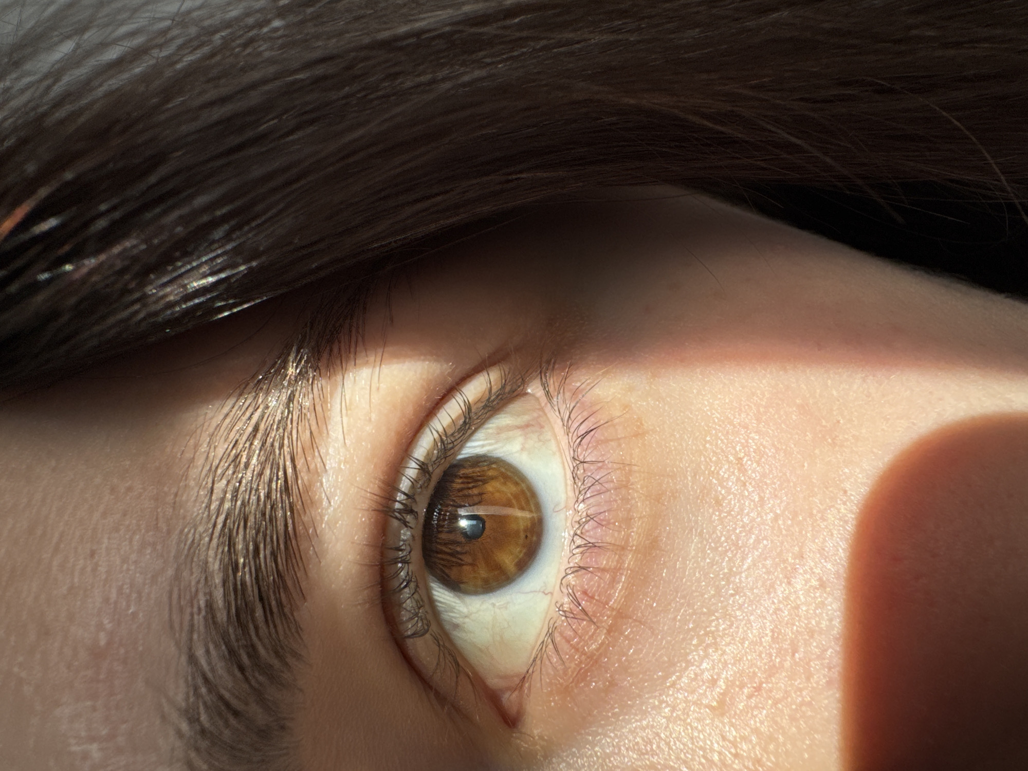 The image displays a forensic close-up of a human right eye, eyebrow, and surrounding facial features. The subject's eye exhibits an amber-brown iris with a black, round pupil. A prominent vertical specular highlight reflects on the iris, indicative of an external light source, with a smaller, secondary circular reflection visible within the pupil. Dark, individual eyelashes are present on both upper and lower eyelids. The eyebrow is dark brown, full, and shows distinct hair strands. The skin around the eye appears fair with visible pores and some minor vascularity in the sclera. Direct, strong, directional light illuminates the eye, creating a sharp linear shadow that bisects the lower face horizontally and extends vertically across the upper left portion of the frame, affecting the brow and forehead area. Dark brown hair is visible along the right edge of the frame. The specific location within Izhevsk, Russia, cannot be determined from the provided visual information. The lighting conditions suggest an indoor or outdoor setting with direct sunlight.