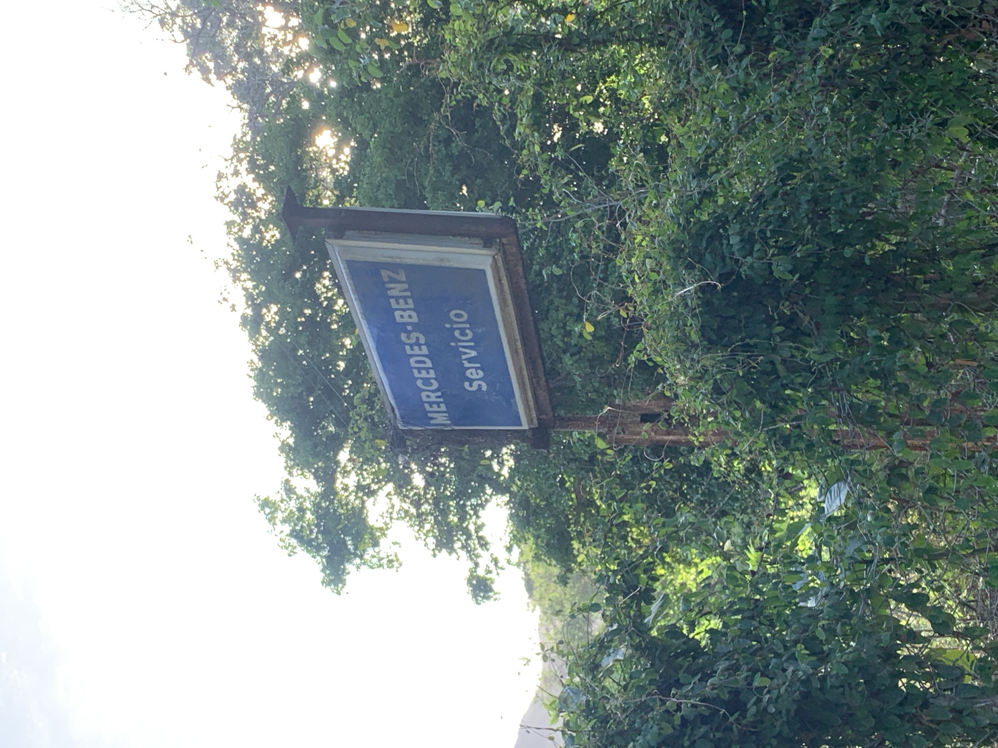 The image shows a faded blue sign with white lettering that reads "MERCEDES-BENZ Servicio." The sign is mounted on a rusty metal pole amidst dense green foliage and trees, with the sun's rays filtering through the leaves. The sign appears old and weathered. The background consists of more trees and a bright, hazy sky, suggesting an outdoor setting in a natural or overgrown area, possibly on the outskirts of a town or in a rural setting. The overall impression is one of a disused or abandoned location. Given the context of the "Servicio" (service) designation and the brand name "Mercedes-Benz," this sign likely indicates a former automotive service center. The location in El Valle del Espíritu Santo, Venezuela, would place this scene within that region, potentially reflecting the presence of such a business in or near the city.