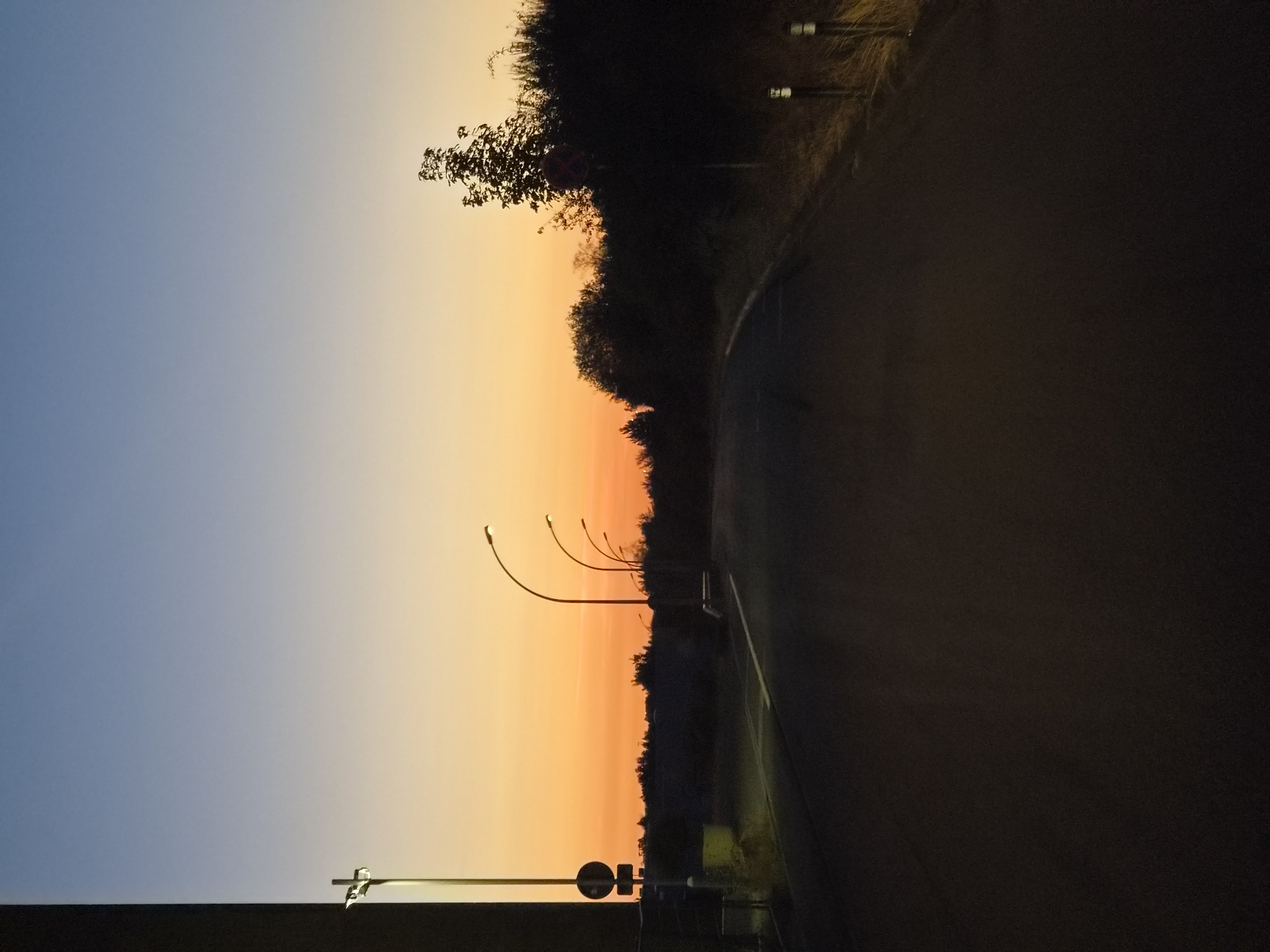 A rural road in Leudelange, Luxembourg, is depicted at dusk. The sky displays a gradient of blue and orange hues, indicative of sunset. Several streetlights, with their lamps illuminated, line the left side of the road, casting a soft glow. On the right side, the road is bordered by dense vegetation and trees, also silhouetted against the fading light. Two bollards, illuminated by nearby light sources, are visible along the roadside. The road surface is asphalt and appears wet, reflecting the ambient light. A traffic sign is affixed to a pole on the left side of the road. The overall scene is calm and serene, conveying a sense of twilight in a semi-rural setting.