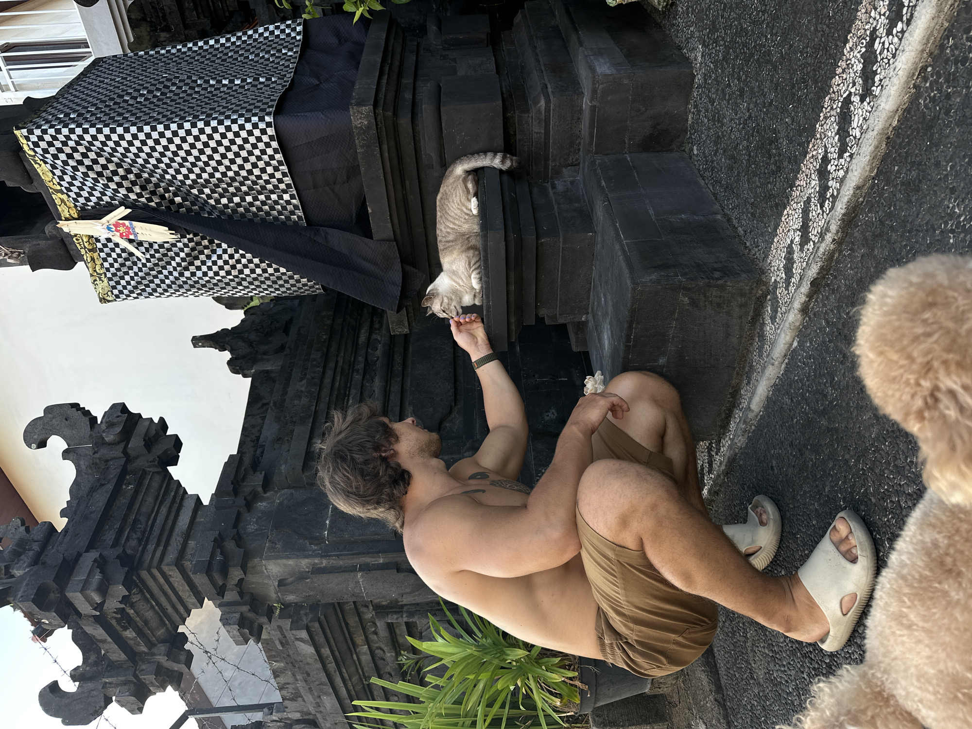 The image captures a man interacting with a cat at a stone structure, possibly a temple or shrine, in North Kuta, Indonesia. The structure is adorned with a black and white checkered cloth and decorative elements. The man, wearing brown shorts and white slides, is kneeling and reaching out to a tabby cat that is resting on a stone ledge. A dog is present in the right corner. The scene is brightly lit, suggesting it is daytime. The background reveals the intricate architectural details of the structure.