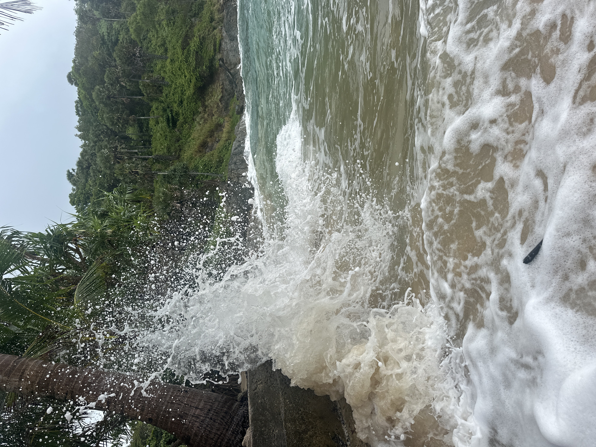 A wave crashes against a concrete barrier next to a palm tree on a beach in Rawai, Thailand. The water is churned into white foam and spray, with smaller droplets scattered across the frame. In the background, lush green vegetation covers a hillside, with palm trees interspersed among denser foliage. The sky is overcast, casting a muted light on the scene. The ocean water appears murky green and brown near the shore, transitioning to a clearer turquoise further out. The sand is wet and appears light brown. A small dark object, possibly a piece of driftwood, is visible in the foam near the bottom right of the image.