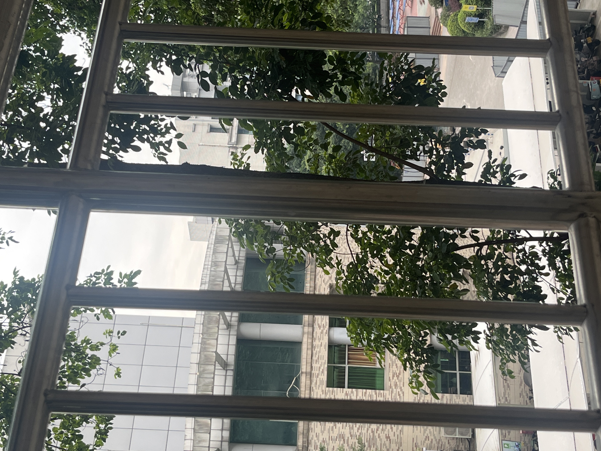 The image captures an outdoor view, framed by a prominent grid of horizontal and vertical grey metal bars, suggesting a perspective from behind a window grille or security bars. The foreground is dominated by these sturdy metallic structures.
Through the openings in the grille, lush green trees with dense foliage are visible, their leaves vibrantly green and partially obscuring the urban landscape beyond. The light is diffused, indicating an overcast or cloudy day, and no direct sunlight is apparent.
In the midground and background, several buildings of varying styles populate the scene. One building to the left features a light-colored, possibly tiled, facade with numerous windows. Another structure shows large, dark-paned windows and distinctive white cylindrical elements on its exterior. Further into the distance, parts of a building with a white, grid-patterned facade can be seen, along with areas of ground level activity.
The ground area appears to be a paved space, possibly a courtyard or service area, featuring manicured green bushes. Two signs are visible: a yellow sign on a pole in the mid-right, and a green sign in the lower right, both displaying text in what appear to be Chinese characters, though they are too indistinct to read clearly.
There are no people or discernible events taking place, rendering a static observation of an urban setting. The architecture, dense foliage, and presence of security bars are characteristic of a bustling urban environment like Yuzhong District, China.