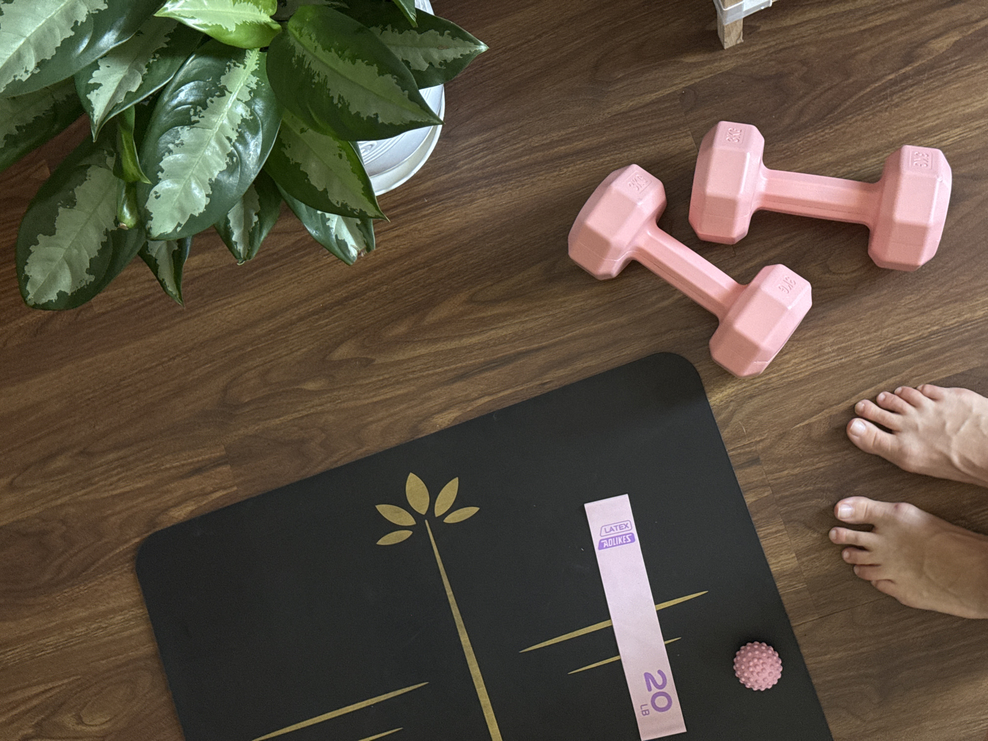An overhead shot shows a black yoga mat with gold botanical designs on a wooden floor. To the left of the mat, a pink massage ball sits next to a pink resistance band labeled "20 LB" and "LATEX". Two pink dumbbells, each marked "3KG", are positioned to the right of the mat. In the upper right corner, a potted plant with large green leaves is visible. The feet of a person are in the lower left corner of the frame, standing near the yoga mat. The scene appears to be indoors, on a wooden floor, which is consistent with a residential setting in Nha Trang, Vietnam.