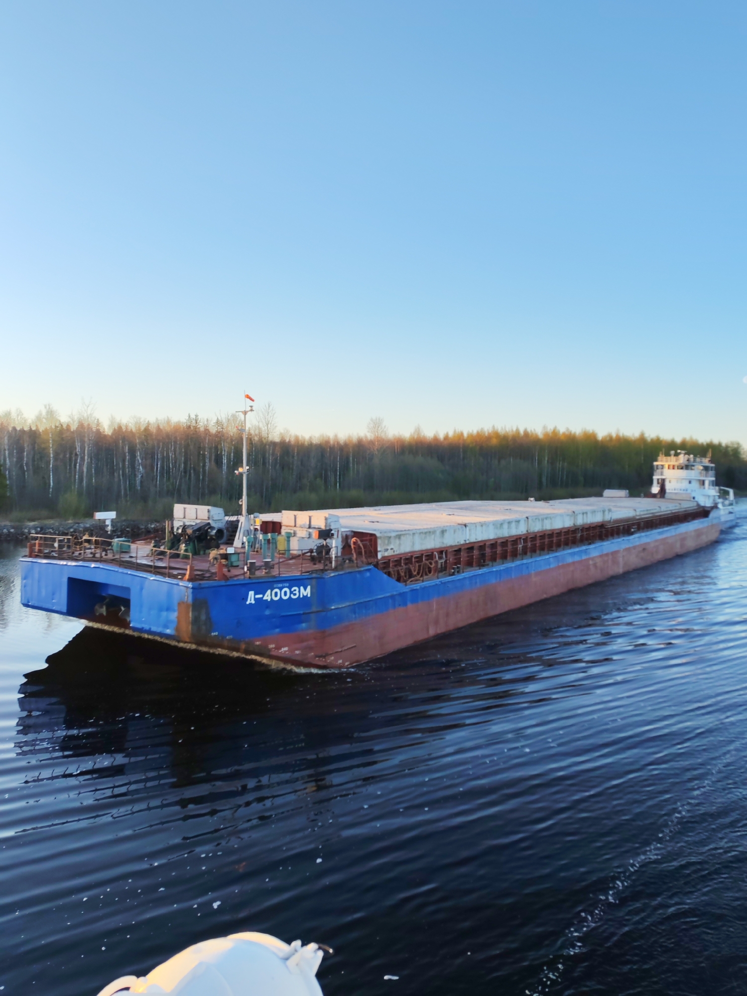 The image depicts a large, blue and reddish-brown cargo barge, labeled "Д-4003М" on its blue front section, moving on a body of water, presumably a river or canal. The barge is loaded with concrete slabs or panels. The rear of the barge has a white superstructure. On the left of the image, beyond the barge, a dense forest line borders the waterway. The sky is clear and light blue. The water is dark blue and slightly rippled, with some white froth indicating movement. The picture appears to have been taken from another vessel. The location is identified as Kurdiug, Russia.