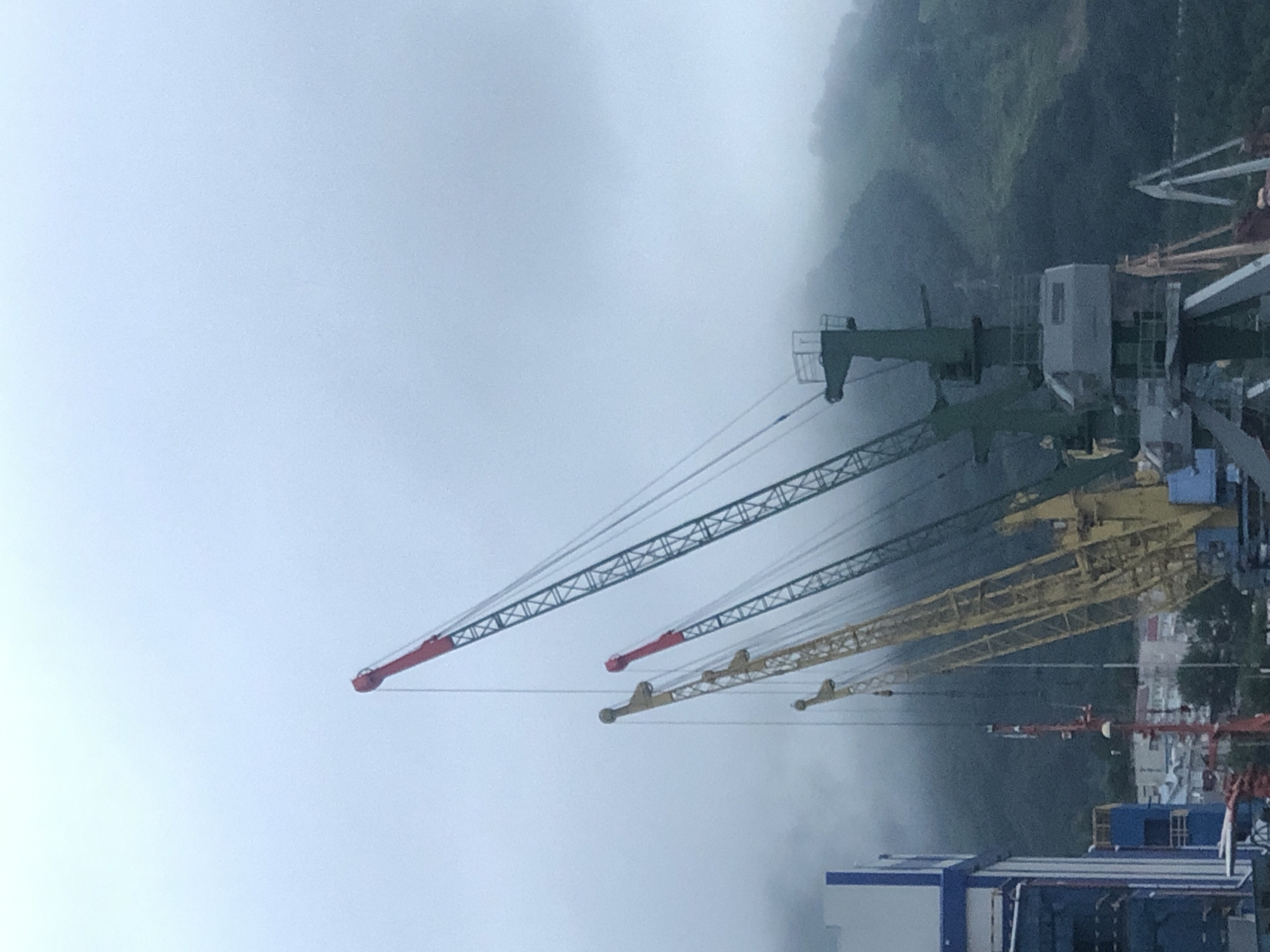 The image depicts a foggy, overcast day at a port in Petropavlovsk-Kamchatsky, Russia. Several large industrial cranes dominate the foreground, their towering structures extending into the hazy sky. One crane, painted green with red accents at its jib, is particularly prominent on the right side of the frame. To its left, a tall yellow crane is visible, its boom angled upwards. Further left, another crane with a red jib is seen. In the background, a misty, green hillside rises, partially obscured by the fog. The lower portion of the image shows glimpses of industrial buildings with blue and white exteriors on the left, and the tops of smaller structures and trees in the distance. No people are visible in the scene.