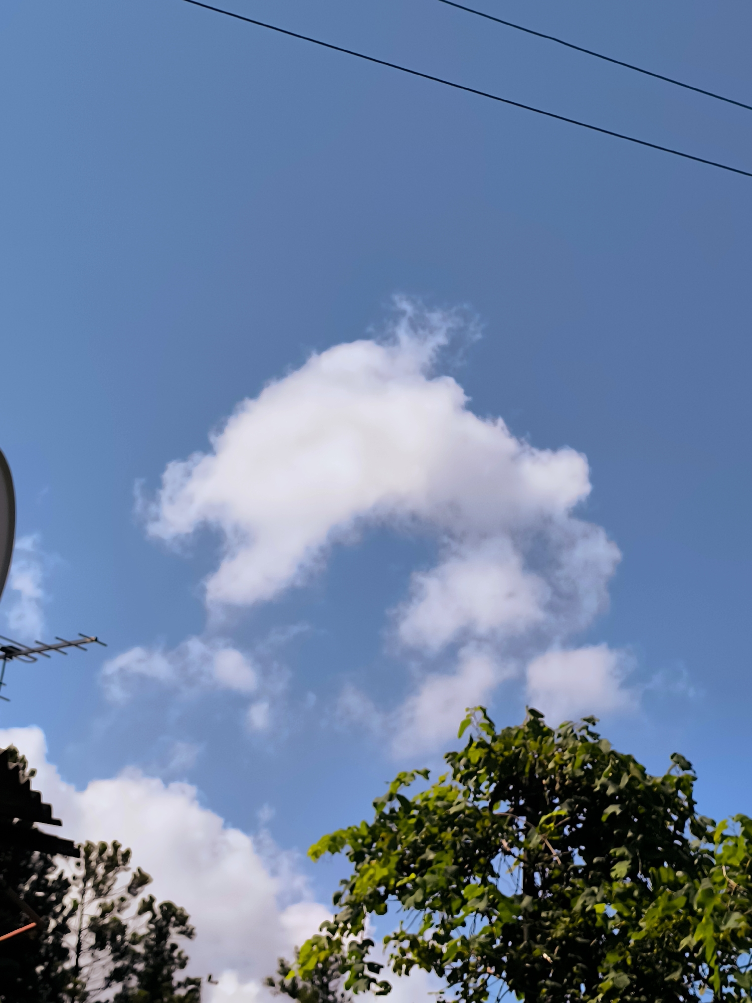 The image depicts a clear blue sky with scattered white clouds. Two dark power lines stretch across the upper portion of the frame. In the lower left, a portion of a dark, angled roof is visible, with an antenna extending upwards. To the right of the roof, the dark green foliage of a tree is prominent, and in the bottom right, more lush green leaves of another tree are visible. The image appears to be taken outdoors, likely in a semi-urban or suburban setting, possibly Batumi, Georgia, given the presence of vegetation and residential elements. There are no people or animals in the frame. The overall impression is one of a bright, sunny day.
