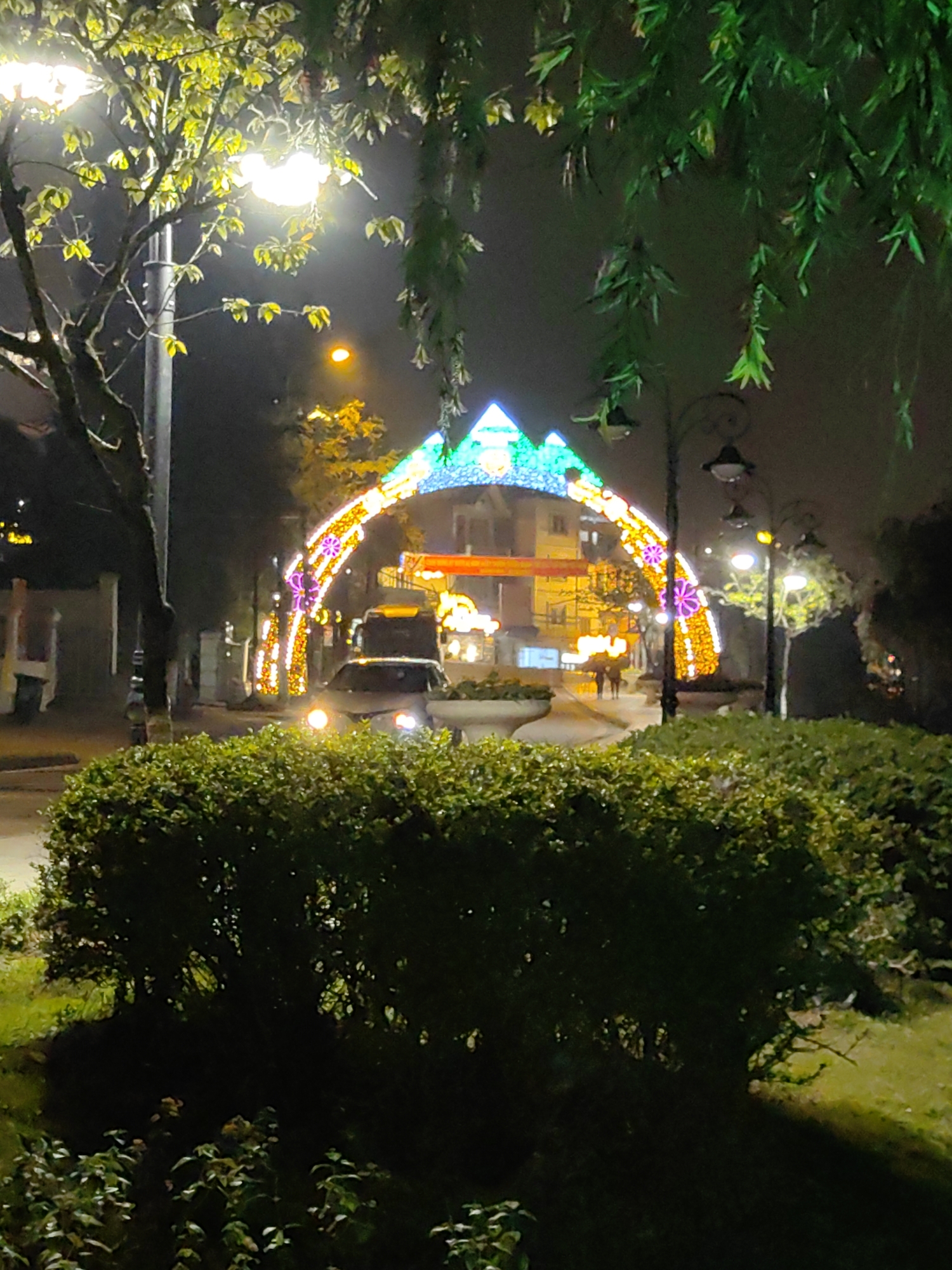 This nocturnal image depicts a public streetscape in Sa Pa, Vietnam, viewed from behind a dark green shrubbery that occupies the foreground. A brightly illuminated decorative archway, adorned with yellow-gold and purple lights and featuring a blue-green triangular peak, spans a road in the mid-ground. A light-colored vehicle, likely white, with active headlights, is positioned under the arch, facing the viewer. A second vehicle is partially visible behind it. To the right of the arch, two indistinct human figures walk on a paved surface next to an ornate streetlamp. Structures with illuminated windows are visible in the background. On the far left, a utility pole with a prominent streetlamp illuminates a tree with light green leaves. Dark green, elongated foliage hangs from the upper right and center of the frame, partially bordering the scene.