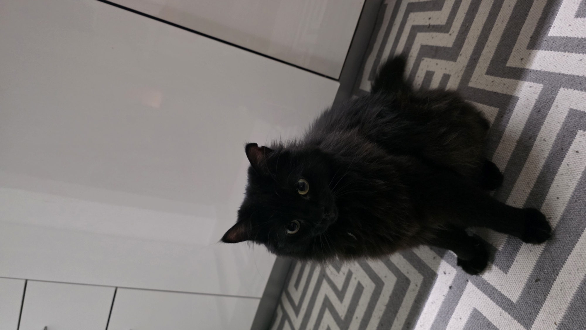 A black cat with green eyes is lying on a gray and white patterned rug next to a white cabinet. The location is unknown.