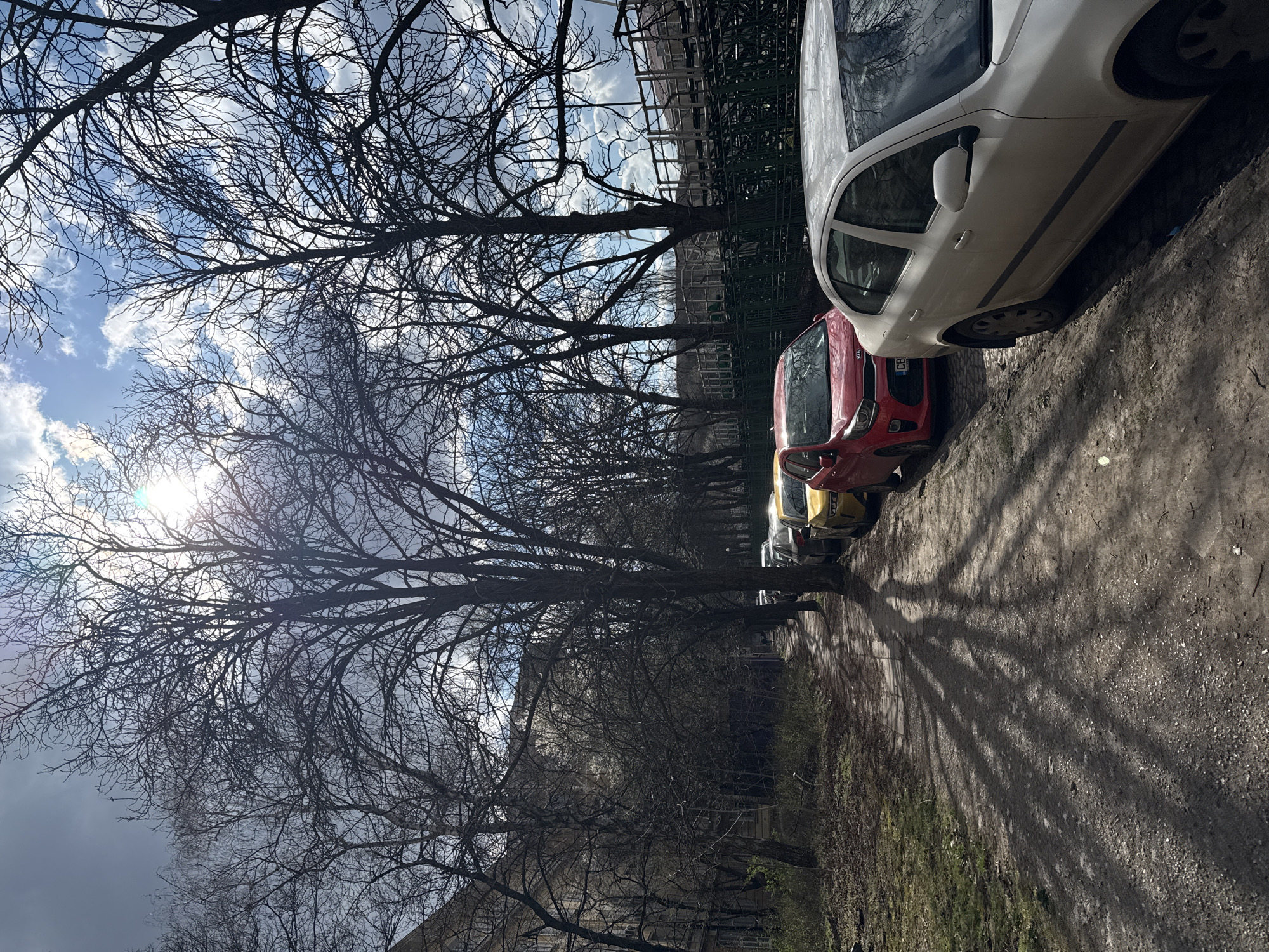 The image depicts a daytime street scene in Sofia, Bulgaria, confirmed by a visible "CB" license plate prefix. The season appears to be late winter or early spring, characterized by numerous deciduous trees with bare branches lining both sides of the street. Bright sunlight pierces through a partly cloudy sky, creating lens flare and casting long, distinct shadows of the tree branches onto a dirt pedestrian path that runs along the left side.
A row of vehicles is parked parallel to the curb on the right. In the foreground, a white sedan is partially visible, followed by a red Kia Picanto. Behind the red vehicle, a yellow compact car and additional vehicles are parked further down the street.
On the left side of the image, behind the trees, an older, multi-story building with multiple windows is partially visible. On the right, beyond the parked cars and another line of trees, a large structure with green fencing and metal framework is present in the background. A single, distant individual is walking on the dirt path on the far left. The ground consists of bare earth with patches of dry grass.