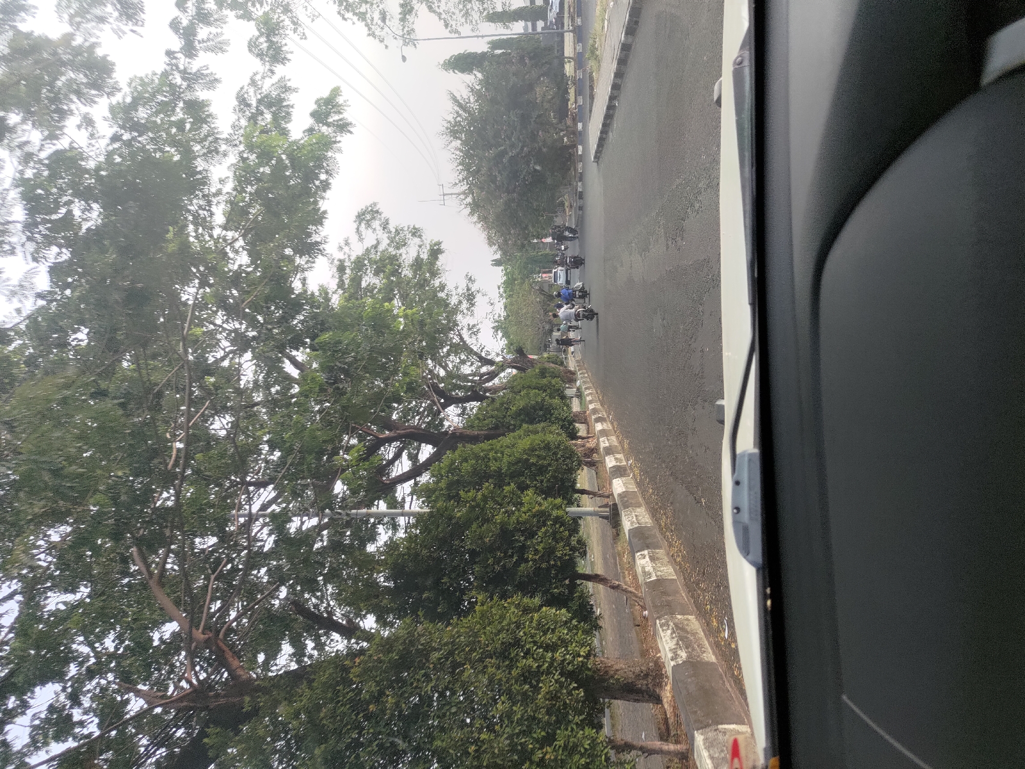 A street in Depok, Indonesia, is captured from the perspective of someone inside a vehicle. The road is paved and appears to be an urban or suburban area, lined with concrete barriers and a sidewalk. On the left side of the road, a row of manicured, conical trees stands tall, with larger trees with leafy canopies behind them. On the right side, more trees are visible, including a cluster of flowering trees. In the distance, there are buildings and power lines. Several motorbikes with riders are traveling on the road, indicating moderate traffic. The sky is overcast, suggesting a cloudy day. The foreground of the image shows the interior of a car, with the dashboard and windshield wipers visible.