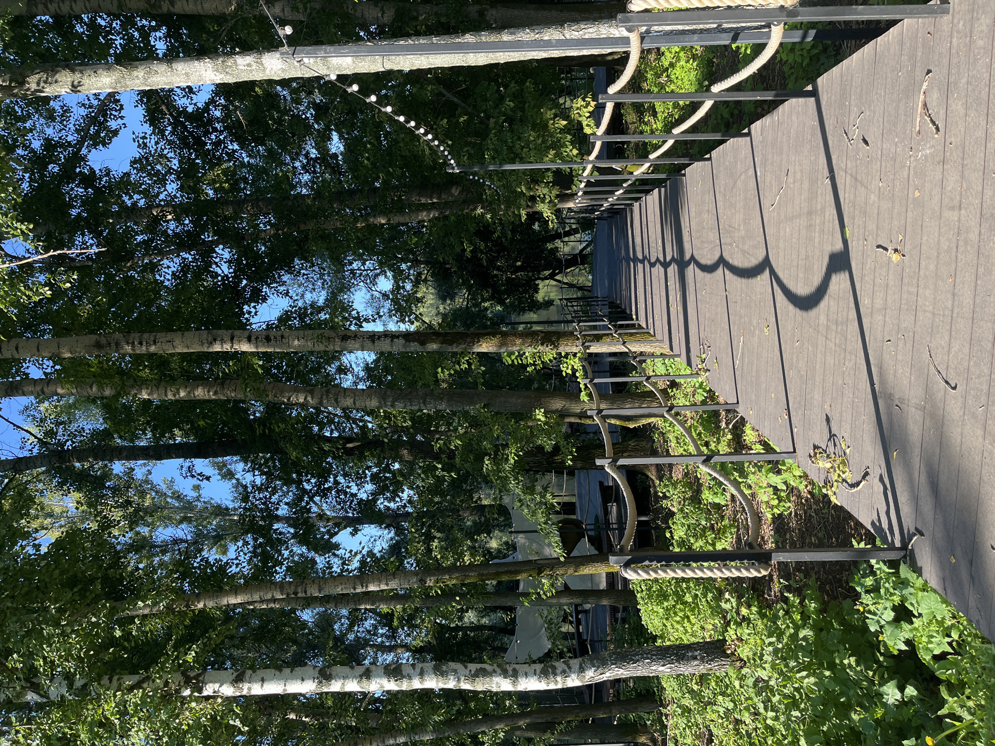 A wooden boardwalk with rope railings leads into a dense, sun-dappled forest. The boardwalk is constructed of dark planks and is lined with metal posts and thick, cream-colored ropes. Shadows from the trees cast a wavy pattern on the boardwalk. On the left side of the boardwalk, lush green foliage and trees with white bark are visible. On the right side, more trees and a string of small, round lights are present, casting shadows on the boardwalk. In the background, beyond the trees, a body of water can be seen. The scene appears to be a park or recreational area, possibly within the city of Blagoveshchensk, Russia, given the context provided by the prompt. No people are visible in the image.