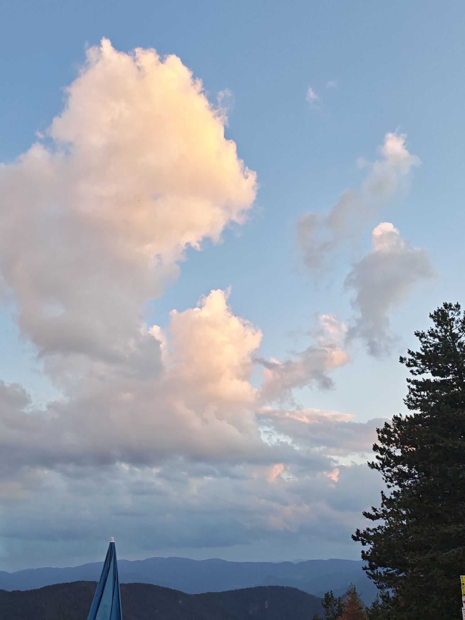The image captures a scenic view of the sky and mountains, likely taken from Dobrostan, Bulgaria. The sky is a vibrant blue, dotted with fluffy, light-colored clouds that are tinged with pink and orange from the setting sun. These clouds are scattered across the frame, with a particularly large, dramatic cloud formation dominating the left side of the image.
In the foreground, the top of a closed blue umbrella is visible, with its white tip pointing upwards. Below the sky and clouds, a range of dark, undulating mountains stretches across the horizon, their peaks softened by distance and the evening light. The mountains are covered in dense, dark green forests.
On the right side of the image, the dark green branches of a tall evergreen tree are prominent, partially obscuring the sky and mountains. The tree's needles are sharply defined, suggesting it is a conifer, possibly a pine or fir. The overall impression is one of natural beauty and tranquility, with the sky's warm colors creating a sense of peace. There are no people or animals visible in the frame. The scene appears to be an outdoor landscape at dusk.