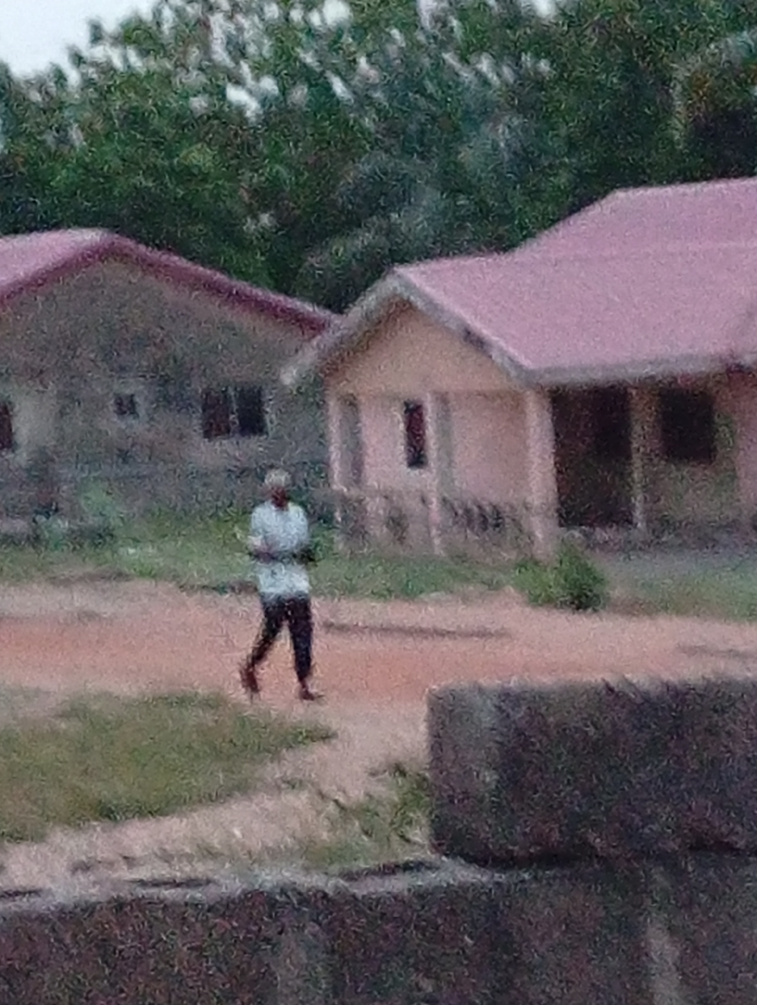 The image is a highly blurry and grainy outdoor photograph depicting a residential scene. The overall quality is poor, making precise details challenging to discern.
In the middle ground, a single person is captured in motion, walking from left to right across a reddish-brown patch of ground. They appear to be wearing a light-colored top and dark trousers, but their features are completely obscured by the blur.
In the background, two single-story buildings with similar architectural styles are visible. Both structures feature distinct pink or reddish-brown pitched roofs and light-colored walls, possibly stucco or concrete. Dark, rectangular openings suggest windows. Lush green foliage and trees are present behind and between the buildings, indicating a natural environment. Patches of green grass are also scattered across the ground.
In the lower right foreground, dark, rectangular objects, possibly stacked cinder blocks or large stones, are partially visible.
The lighting appears diffused and lacks strong shadows, suggesting either an overcast day, early morning, or late afternoon. The combination of simple residential structures, dirt paths, and dense vegetation hints at a rural or semi-urban setting, potentially in a warmer climate. No specific activity beyond the person walking is evident, and there is no visible text in the image.