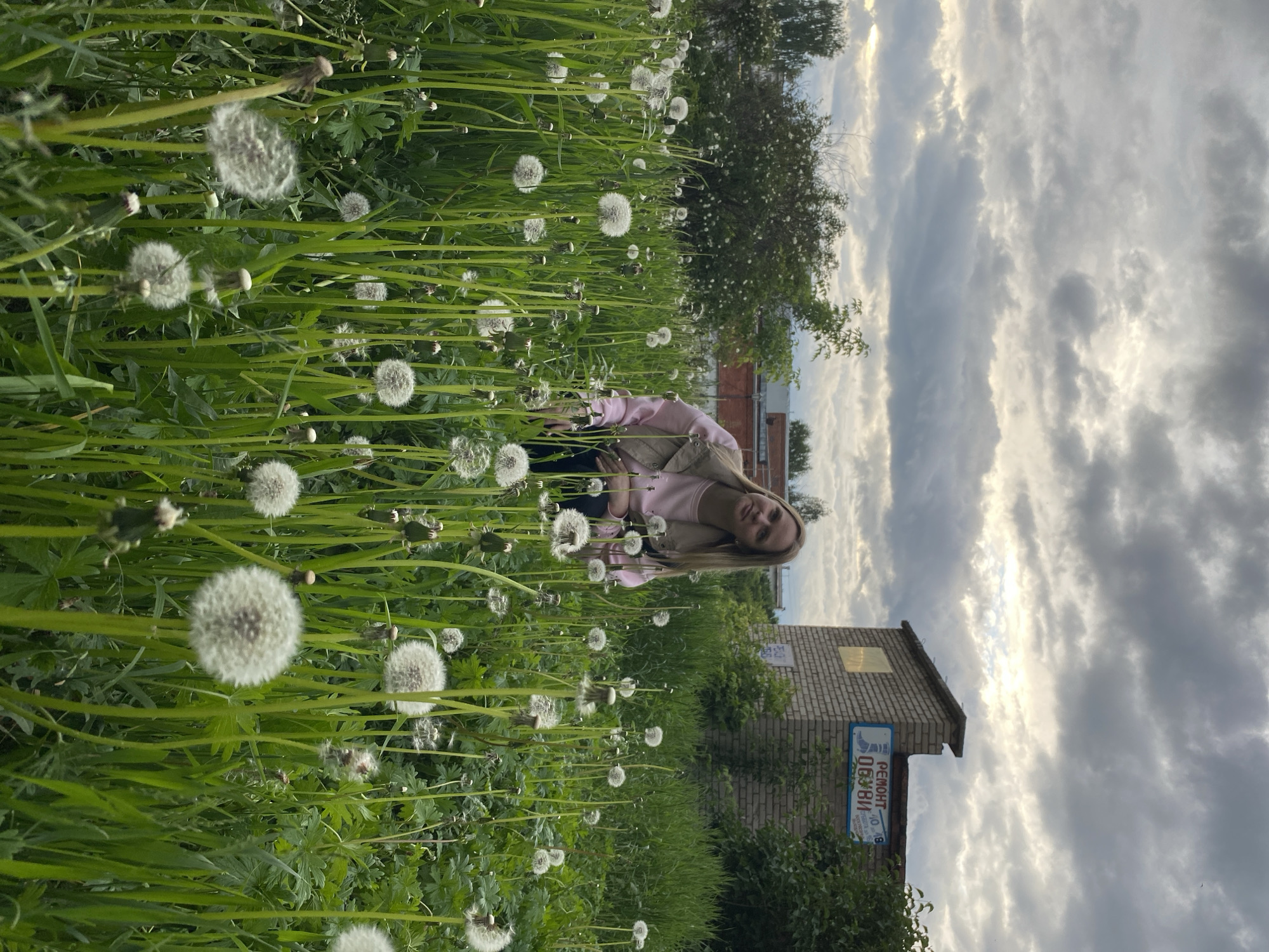A young woman with long blonde hair, wearing a pink long-sleeved top and a light brown or beige vest, kneels in a dense field of dandelions. She is positioned slightly to the left of the frame's center, looking directly at the camera with a faint smile. The field is predominantly green with numerous white, mature dandelion seed heads ("puffballs") on tall stems, indicating a late spring or early summer setting.
In the background, to the right, stands a single-story brick building constructed from light-colored bricks, possibly tan or beige, with a dark, flat roof structure. A blue rectangular sign with white text is affixed to the side of the building, clearly displaying "РЕМОНТ ОБУВИ" (SHOES REPAIR) and additional smaller text, including "40 ЛЕТ" and a phone number. Behind this building and to its left, a variety of trees and bushes with green foliage and some white blossoms are visible. Further in the distant background, obscured by vegetation, are hints of other structures, possibly industrial or residential, with red elements.
The sky overhead is heavily overcast with numerous gray clouds, but patches of brighter light are visible, suggesting either the sun is partially breaking through or the time is late afternoon/early evening. The scene depicts an undeveloped or neglected urban/suburban green space. The location is an unknown city in an unknown Russian-speaking country, given the signage.