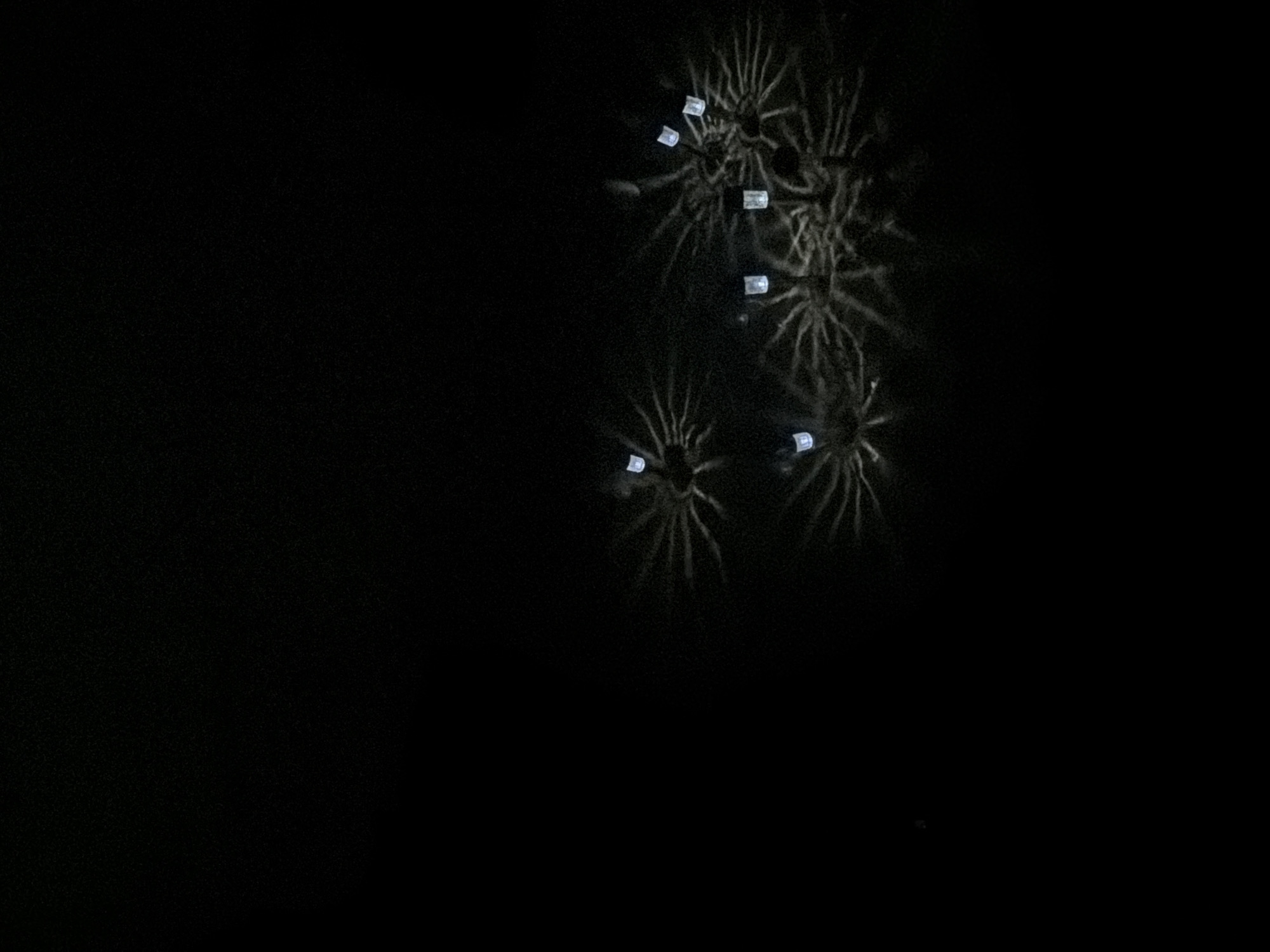 The image displays a nocturnal outdoor scene in Chaikovsky, Russia. The lower-right quadrant of the frame contains approximately seven individual light units, each consisting of a small, rectangular, translucent casing that emits a cool white or pale blue light. These light sources are positioned amidst dense, low-lying vegetation or shrubbery. The light cast by each unit creates distinct radial, dendritic patterns of illumination and shadow across the surrounding plant structures, highlighting their intricate, branched forms. The remainder of the image, primarily the upper and left sections, is uniformly black, indicating deep night conditions with no discernible ambient light. No individuals, man-made structures beyond the light units, or specific actions are visible within the frame.