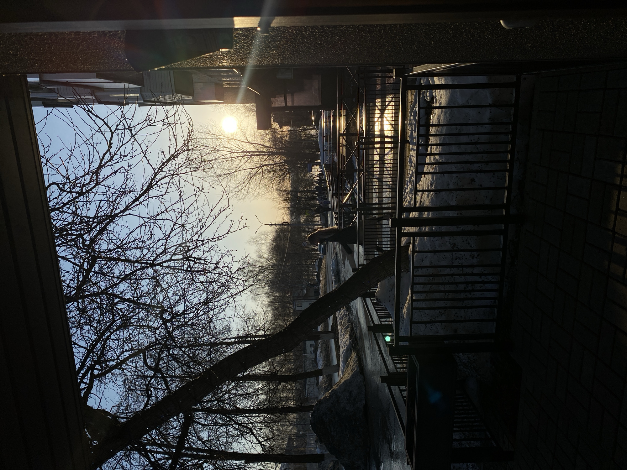 The image, taken in Votkinsk, Russia, presents an outdoor scene at late afternoon or early evening, characterized by a low sun and long shadows, indicative of late winter or early spring conditions. The viewpoint is from beneath a dark overhead structure, looking out onto a street environment.
The immediate foreground features a dark overhead structure across the top of the frame. Below this, a black metal railing with vertical bars and diagonal cross-supports forms a barrier across the lower-mid section, bordering a dark paved area composed of rectangular pavers. A dark, rectangular planter box is situated to the left of the railing. Patches of white snow lie on the ground immediately beyond the railing.
The midground depicts a street with a dark, wet asphalt surface, reflecting sunlight in several puddles. Large, dark piles of melting snow are present along the left side of the road, and smaller patches of snow line the curbs. A prominent, bare deciduous tree with a thick, dark trunk leans diagonally from the left foreground towards the upper right, its intricate branches silhouetted against the sky. Numerous other bare trees line the street on the left and center. One individual, a female with long, light-colored hair, dressed in dark clothing, walks from left to right along a path or sidewalk parallel to the road, positioned left of center and partially silhouetted. A dark vehicle is visible on the road behind her, and smaller, distant figures are present further down the street to the right. A street light pole stands on the left side of the road, and a "40" speed limit sign is partially visible on the right.
The background consists of a clear, light blue sky with a bright, circular sun positioned in the upper right quadrant, generating significant lens flare. On the far right edge of the frame, the textured facade of a multi-story building, possibly residential, is partially illuminated by the sun's direct light.