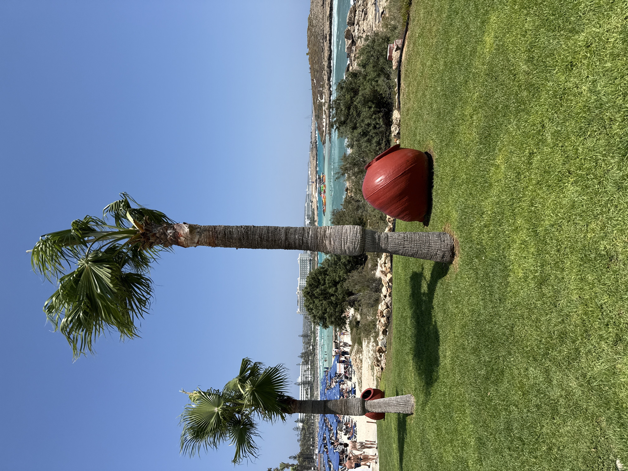 The image depicts a sunny day at Nissi Beach in Ayia Napa, Cyprus. In the foreground, a lush green lawn is interspersed with the bases of two palm trees. To the right of the lawn, a large, bright red, round sculpture sits prominently. In the middle ground, the sandy beach is visible, crowded with people relaxing under numerous blue umbrellas, and some individuals are wading or swimming in the turquoise sea. Beyond the beach, a rocky island with some vegetation and a few people on it is situated in the water. In the background, several white hotel buildings are visible along the coastline under a clear blue sky.