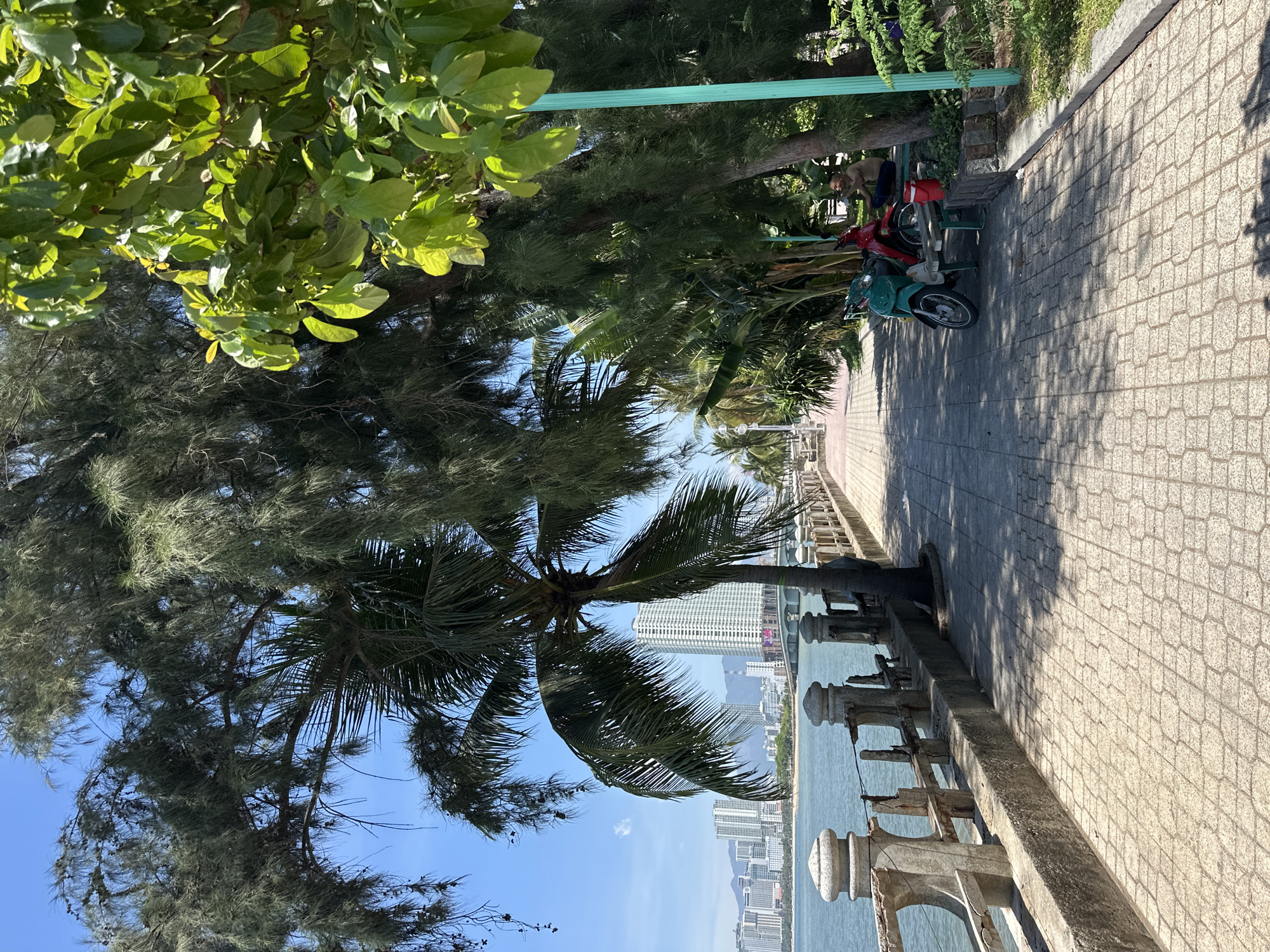 The image depicts a waterfront promenade in Bac Nha Trang Ward, Vietnam, under a clear blue sky. A paved walkway runs parallel to the sea, bordered on one side by a weathered concrete railing and on the other by lush trees, including palm trees. In the distance, a cityscape with numerous tall buildings and a bridge is visible across the water.
On the promenade, two motorcycles, one green and one red, are parked next to a green bench. A man is seated on the bench, facing away from the viewer and towards the trees. He appears to be resting or waiting. The promenade is sparsely populated, with only this individual visible.
The environment suggests a tropical climate, with abundant greenery and sunlight casting shadows on the paved walkway. The railing shows signs of age and some disrepair, hinting at the passage of time and exposure to the elements. The overall scene conveys a sense of a tranquil public space by the sea.