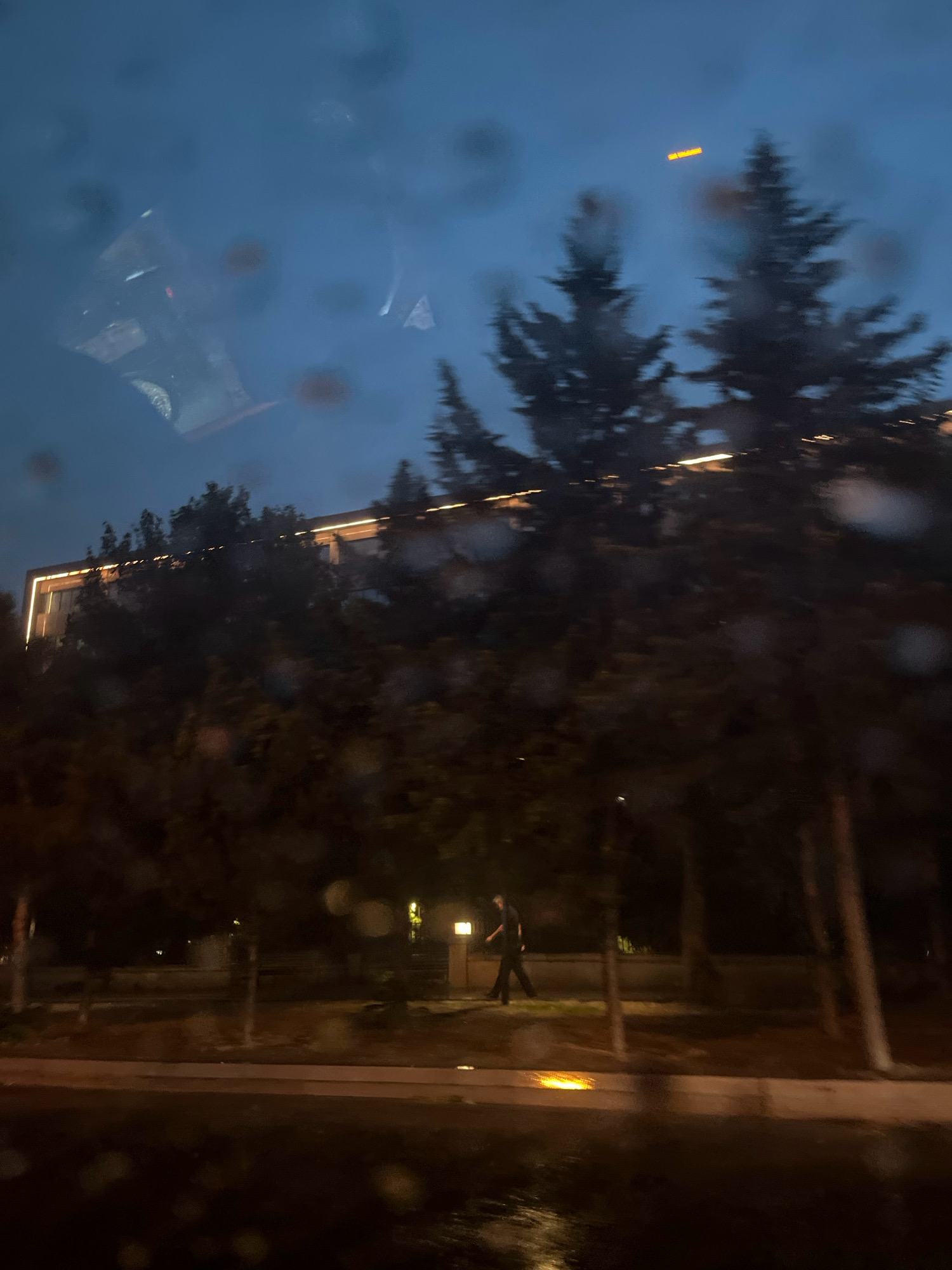 In an outdoor nighttime scene, a person walks on a sidewalk next to a tree-lined street. The person, dressed in dark clothing, is captured mid-stride, walking from right to left. The environment features trees with dark foliage and a building with illuminated accents along its roofline. The street and sidewalk appear wet, with reflections of light. The sky is a deep twilight blue. The image is taken from inside a vehicle, as evidenced by water droplets on a glass surface, which also creates some distortion and blur.