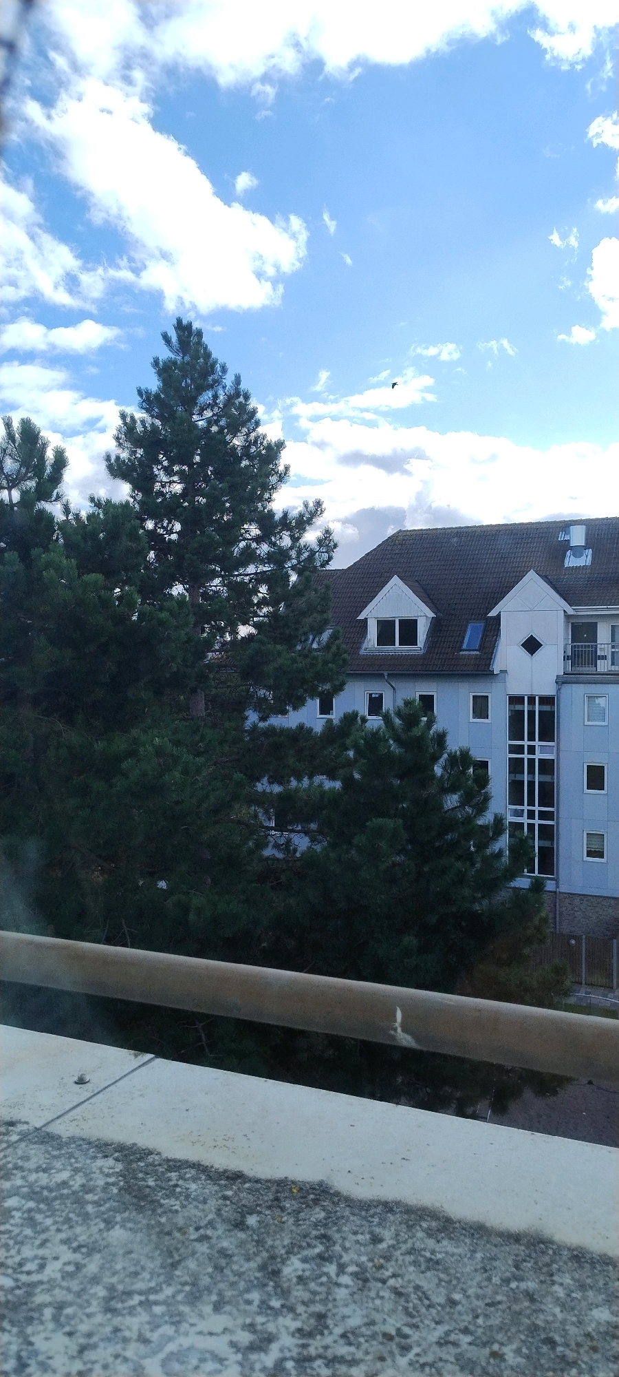 The image shows a building with a light blue facade, a dark tiled roof, and several windows. Evergreen trees, likely pine trees, are visible in front of the building, partially obscuring it. The sky above is blue with white, fluffy clouds. A small bird is flying in the distance. In the foreground, there is a concrete structure with a metal railing running across it. The overall scene appears to be an outdoor urban or suburban setting, possibly a residential area. There is no clear indication of the specific location within Ishøj, Denmark, based solely on the visual elements of the image. The image is captured from a slightly elevated perspective, looking upwards towards the building and sky.