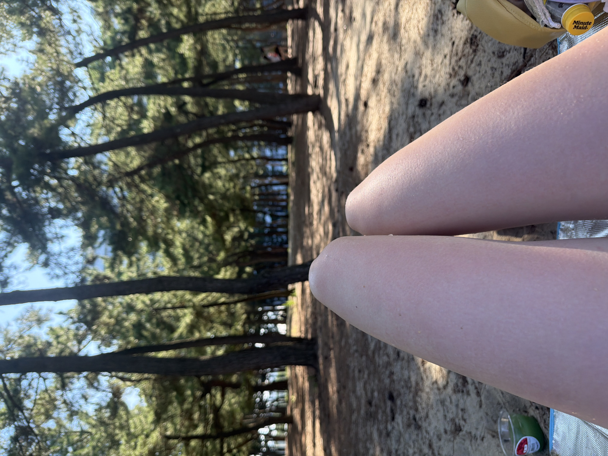 The image shows a close-up view of a person's legs in the foreground, with a blurred background of a sandy area with pine trees. The legs are illuminated by sunlight, and appear to be resting on a blue and white striped mat. To the left of the legs, a small green glass jar with a red label is visible, and to the right, a yellow object and a bottle of Minute Maid juice are present. The trees in the background are tall and slender, with green foliage. In the distance, a few people are visible walking between the trees. The scene is likely at a beach or park in Gangneung-si, South Korea, given the pine trees and sandy terrain, which are common in coastal areas of Gangneung. The lighting suggests it is daytime, with sunlight filtering through the trees.