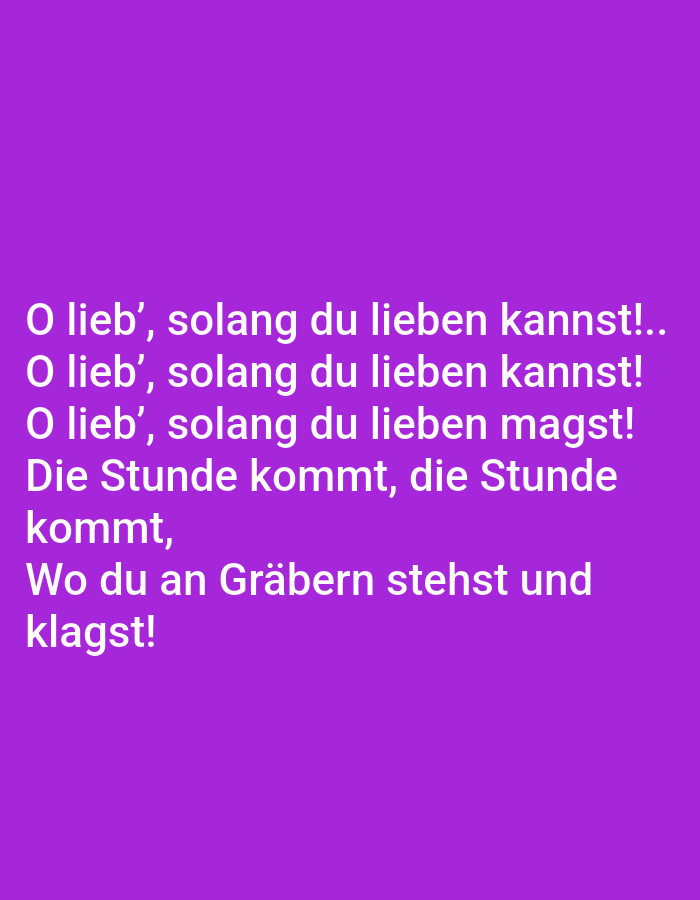 The image shows white text on a purple background. The text is a poem in German. The poem reads:
O lieb', solang du lieben kannst!..
O lieb', solang du lieben kannst!
O lieb', solang du lieben magst!
Die Stunde kommt, die Stunde
kommt,
Wo du an Gräbern stehst und
klagst!
There is no information in the image to suggest any location in Tallinn, Estonia.