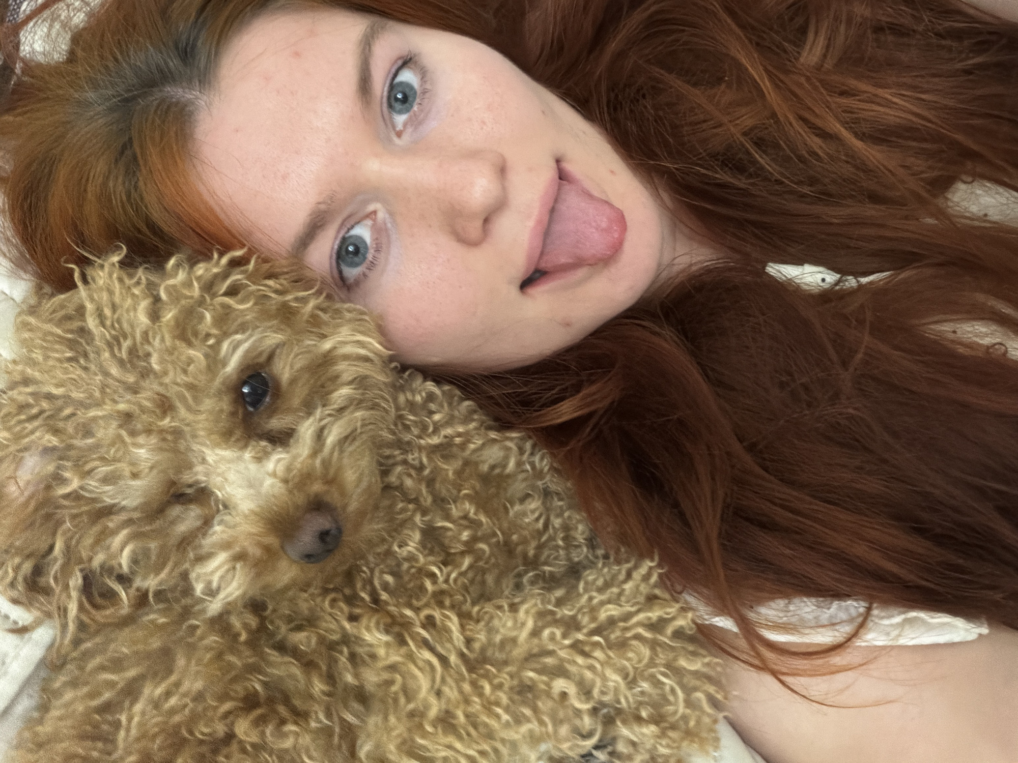 A young woman with long, reddish-brown hair and blue eyes is lying down with a tan poodle. The woman is sticking her tongue out at the camera, and the poodle's head is resting next to hers. The poodle has curly fur and dark eyes. They appear to be indoors on a bed, with a light-colored sheet visible. The image is a close-up selfie, with the subjects taking up most of the frame. The image is not geographically specific to Krasnodar, Russia.