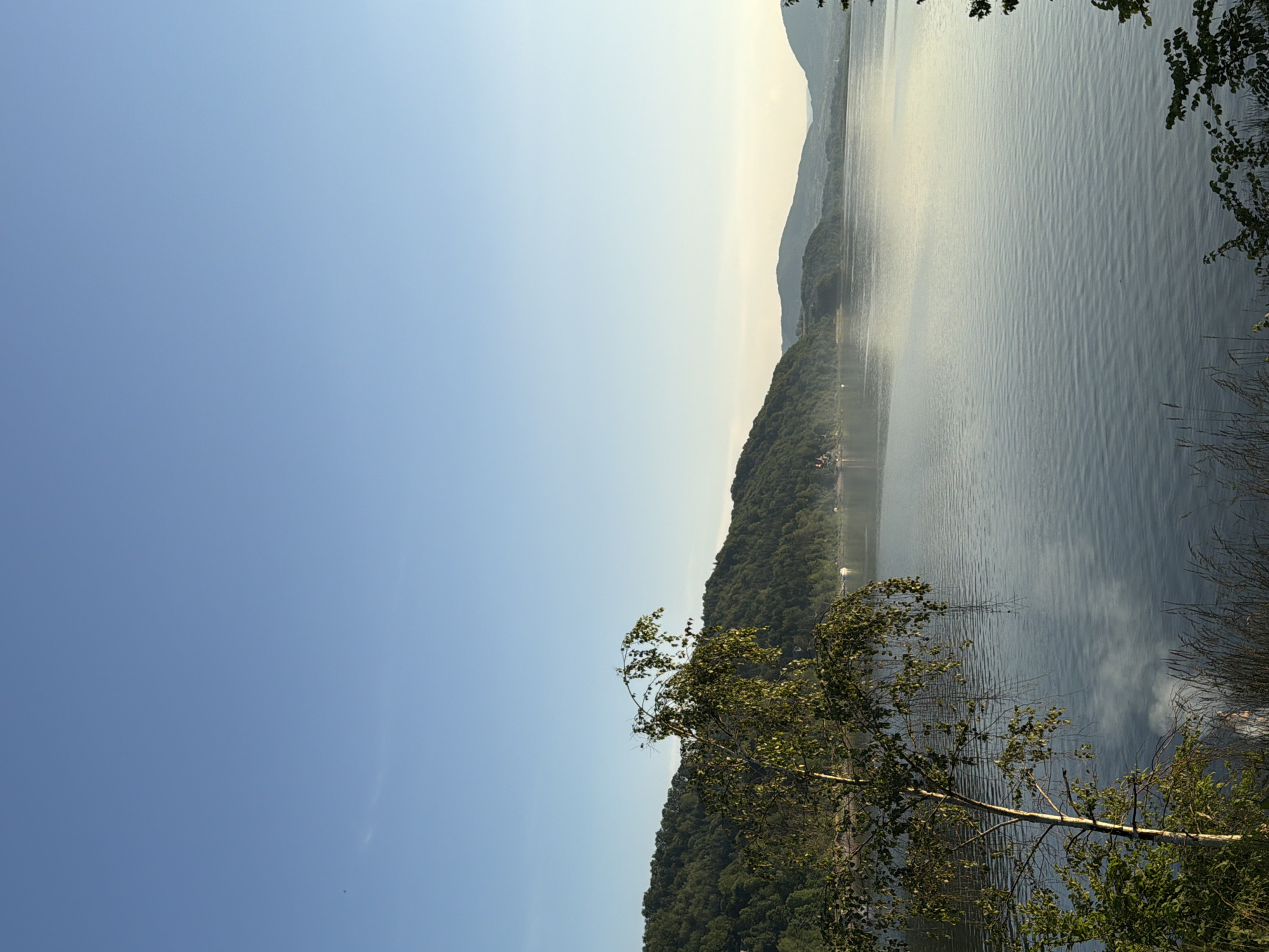 The image depicts a serene lake scene with rolling, tree-covered hills in the background, possibly the location of Lipie, Poland. The sky is a clear, pale blue, fading to a lighter hue near the horizon. A single, deciduous tree with sparse foliage is prominently featured in the foreground on the left side of the frame. The lake's surface is calm, reflecting the soft light of the sky and the distant hills, with subtle ripples indicating a gentle breeze. In the far distance, faint outlines of more hills can be seen. The overall impression is one of tranquility and natural beauty, likely captured during the early morning or late afternoon. No people are visible in the scene.