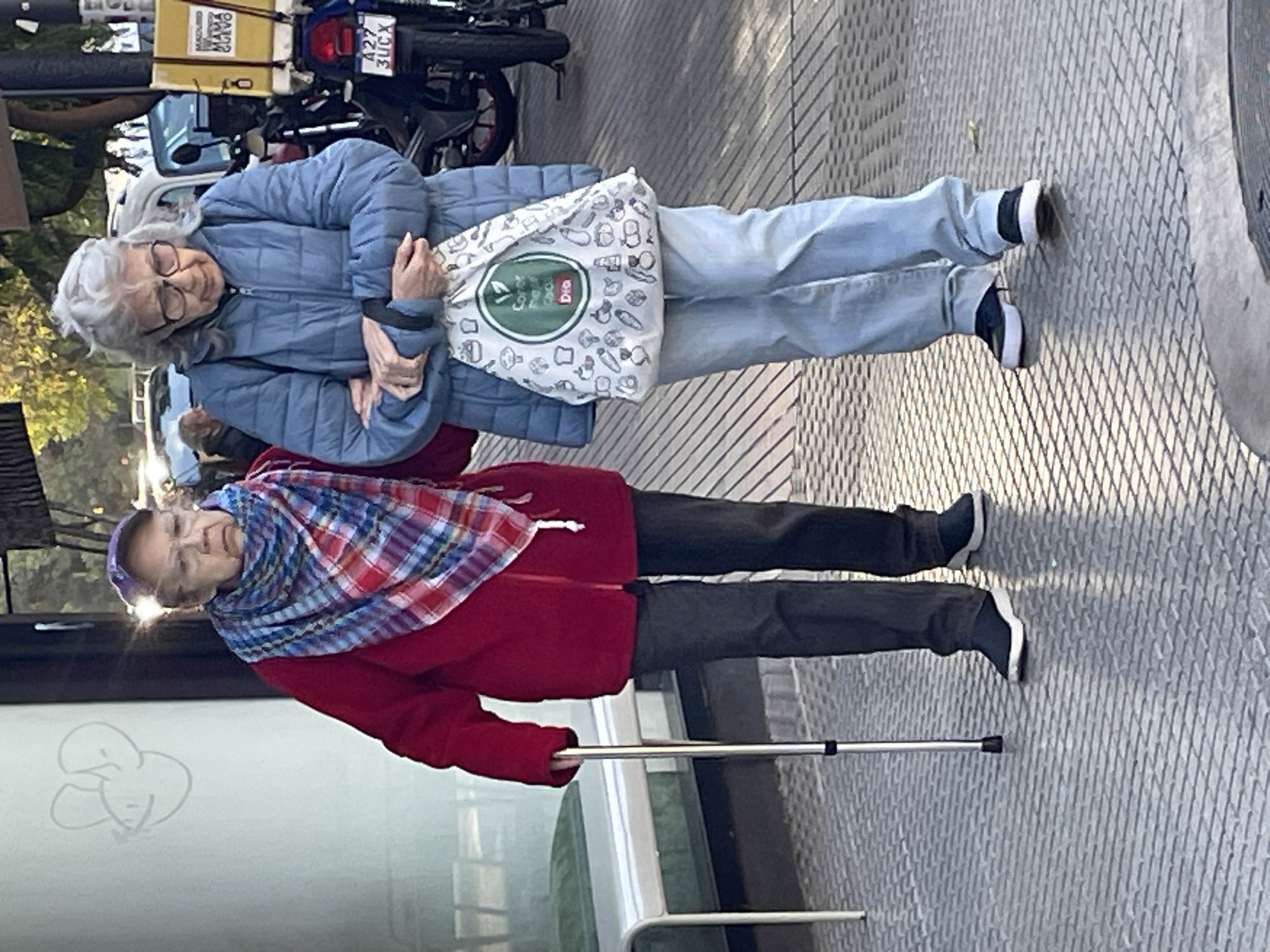 Two elderly women are captured in a daytime urban street scene, likely in Buenos Aires, Argentina, as they stand on a textured sidewalk, possibly waiting or conversing. The image is rotated 90 degrees clockwise.
The woman in the foreground wears a vibrant red jacket, dark trousers, and dark sneakers with white soles. A colorful plaid scarf, featuring shades of red, blue, and white, is draped around her neck and shoulders. Her head is partially covered by a dark purple or blue headscarf, and she uses a silver walking stick with a black tip for support. Sunlight creates a soft glare near her head, reflecting off a nearby glass surface.
The second woman, standing behind the first, wears a light blue puffer jacket, light blue jeans, and dark sneakers with white soles. She has grey hair and wears glasses, with a neutral expression on her face. She carries a white fabric tote bag adorned with illustrations of various vegetables and food items. The bag features a green circular logo with the text "Compra Colectiva" (Collective Purchase) and "DIO" below it.
In the background, a parked motorcycle or scooter is visible, featuring a yellow delivery box with the text "MAS GUSTO MAMA GUEVO" and a license plate reading "A27 3UCX." Part of another vehicle is also seen. The reflective surface of what appears to be a bus stop shelter or building window stands alongside the women, showing a faint line drawing resembling two cartoonish faces. The ground is a patterned grey surface, characteristic of urban sidewalks or grates. The scene suggests a sunny, mild day.