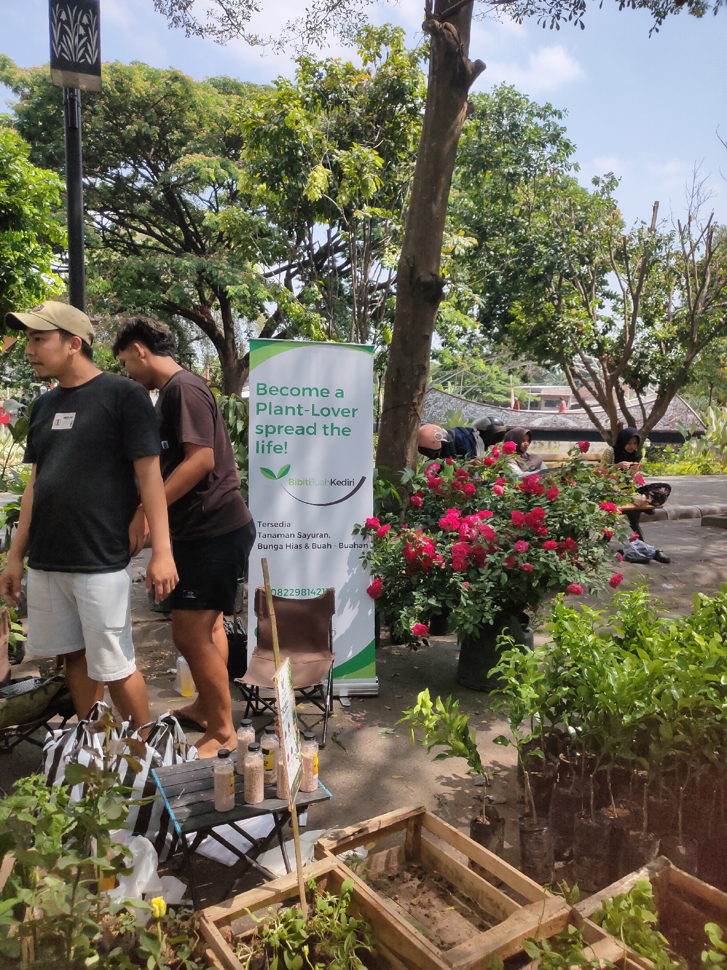 The image captures an outdoor scene at a plant nursery in Ngasem, Indonesia. Two men stand near a display of plants and gardening supplies. The man on the left, wearing a beige cap and a black t-shirt with white shorts, is looking to his left. The man next to him, in a dark brown t-shirt and black shorts, is facing away from the camera. Behind them, a large banner with the text "Become a Plant-Lover spread the life! BibitBuahKediri" is displayed, along with information about available produce and a phone number.
On a low table, several bottles of what appear to be plant nutrients or soil amendments are arranged, alongside striped shopping bags. In the foreground, several young plants in black plastic bags are neatly organized in wooden crates. Further into the background, a vibrant cluster of red roses is in full bloom, with a few people sitting on a bench behind them, seemingly engaged in conversation or activity. The environment is lush and green, with mature trees providing shade, suggesting a warm, sunny day. The overall impression is that of a lively plant market or nursery event.