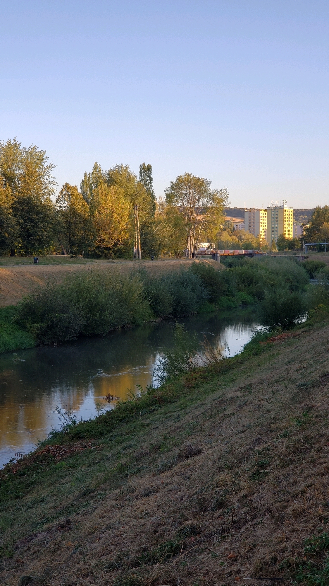 The image depicts a serene riverside scene in the city of Prešov, Slovakia. In the foreground, a calm river flows gently, its surface reflecting the warm tones of the setting sun. The riverbanks are lush with green foliage, interspersed with dry, matted grass on the right bank, suggesting a transition of seasons. Beyond the river, a dense line of trees with vibrant green and autumnal yellow leaves forms a natural barrier. In the background, the urban landscape of Prešov emerges. Two tall, light-yellow apartment buildings stand prominently against the clear blue sky, with smaller structures and more distant hills visible on the horizon. A pedestrian bridge, painted in muted colors, spans the river, connecting the natural and urban environments. The scene is bathed in soft, golden sunlight, indicating it was captured during the golden hour. No people are visible in the image.