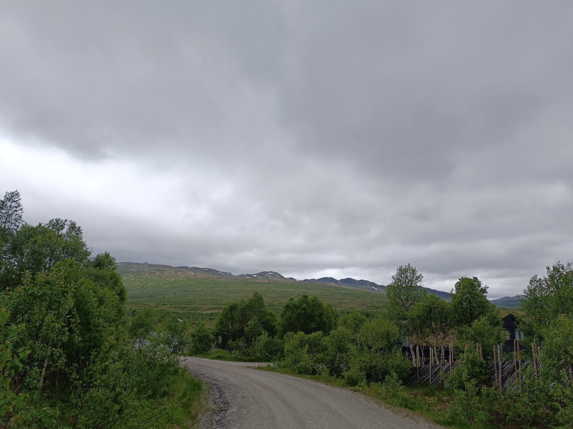 The image depicts a rural, mountainous landscape under an overcast sky, consistent with the weather often experienced in Hovden, Norway. A gravel road curves into the distance, bordered by lush green trees and vegetation. In the middle ground, several small wooden structures with grass roofs are visible behind a rustic wooden fence. The background features rolling green hills and distant mountains, some of which are capped with snow. The scene is devoid of any people or animals, presenting a serene and untouched natural environment.