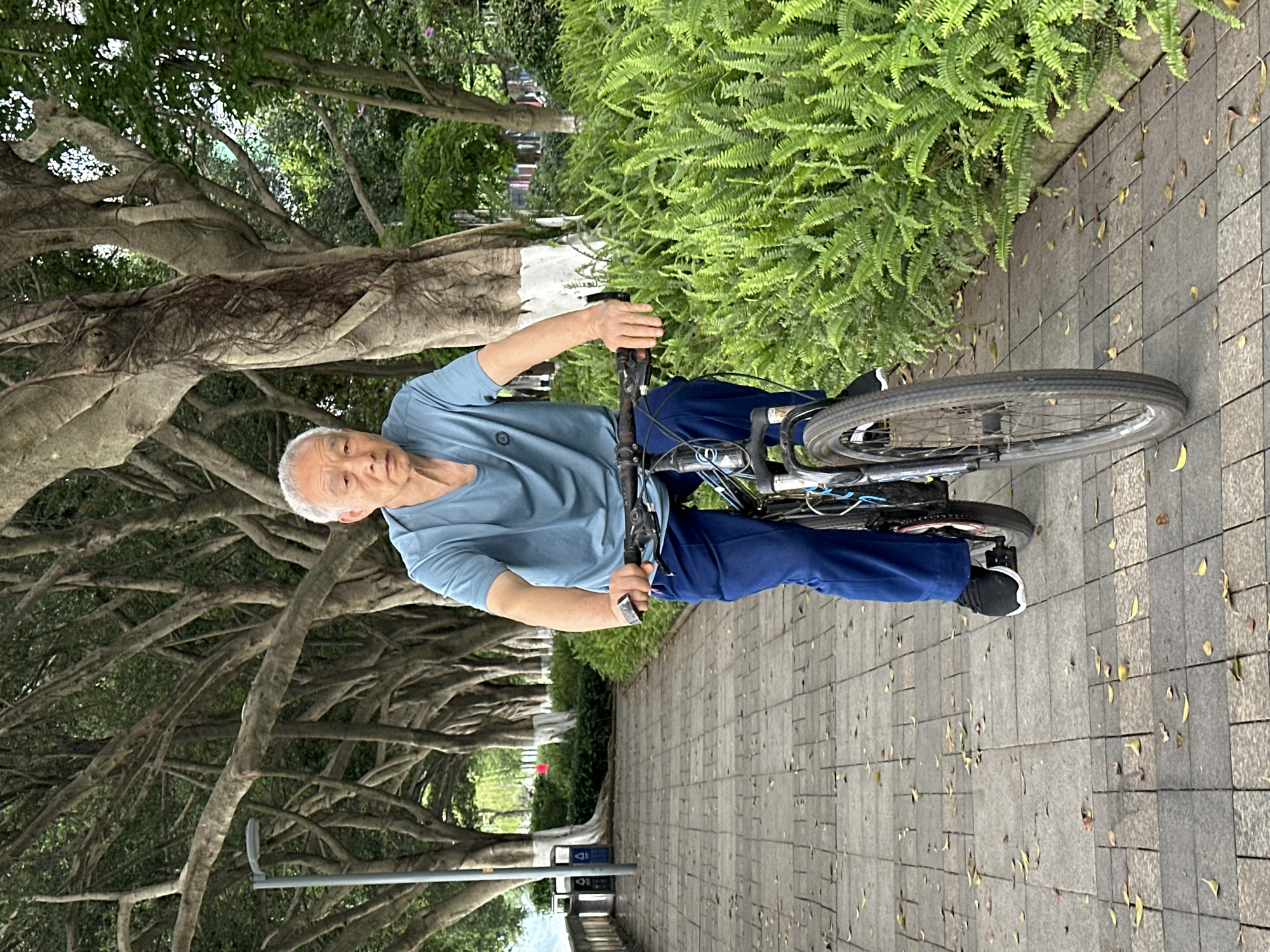 An elderly Asian man with short grey hair is riding a bicycle on a paved path. He is wearing a blue short-sleeved shirt and blue pants, with black and white sneakers. The bicycle is a standard model. The path is lined with leafy trees on the left and ferns on the right. The path is paved with grey rectangular stones, scattered with fallen leaves. In the distance, the path continues, with green vegetation visible. A trash can is on the left side of the path, near the trees. Based on the environment and details, the location is consistent with a park or public area in the city of Jiangjin, China.