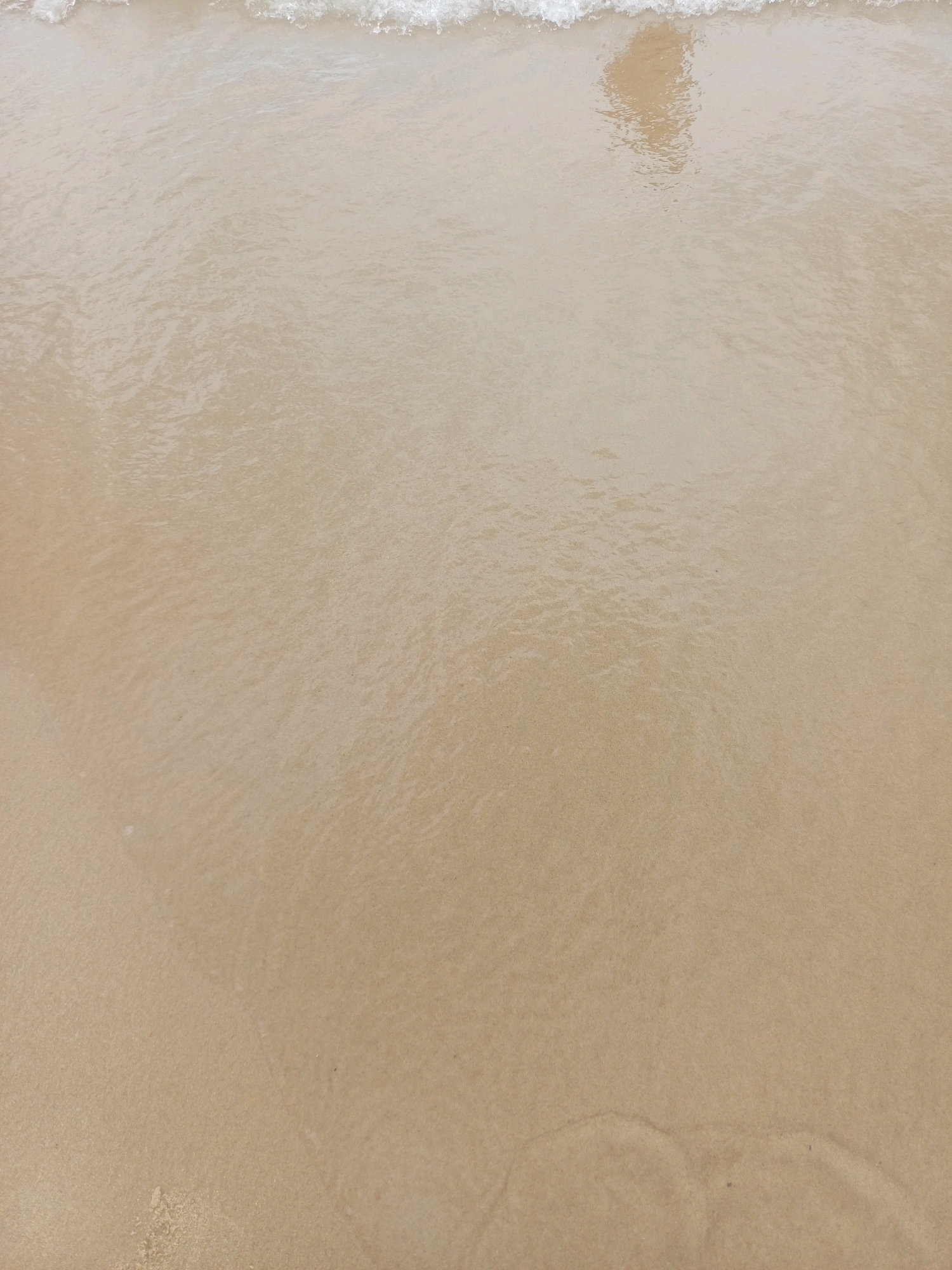 The image captures a close-up view of the wet sand at the edge of the ocean. The sand is a light tan color, and it glistens as it is covered by a thin layer of receding water. Small white foam and ripples from a breaking wave are visible at the top edge of the frame. The reflection of something, possibly a person, can be seen in the water on the sand. The overall scene is one of a tranquil beach in Nha Trang, Vietnam, with the gentle interaction of the sea and the shore.