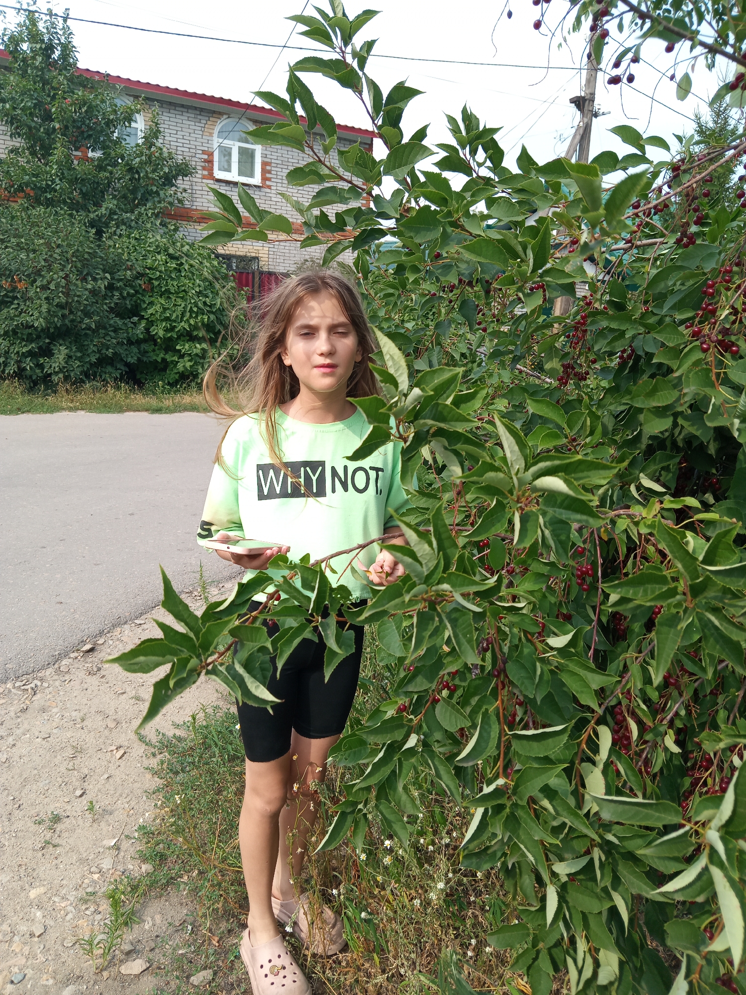 A young girl with long, light brown hair stands in front of a dense green bush with small red berries. She is wearing a light green t-shirt with the words "WHY NOT" printed in black. She also has on black shorts and light pink clogs. In her left hand, she holds a smartphone. The bush is located outdoors, near a paved road and a two-story brick building with red trim. The scene appears to be in Rudny, Kazakhstan, based on context from a previous interaction.